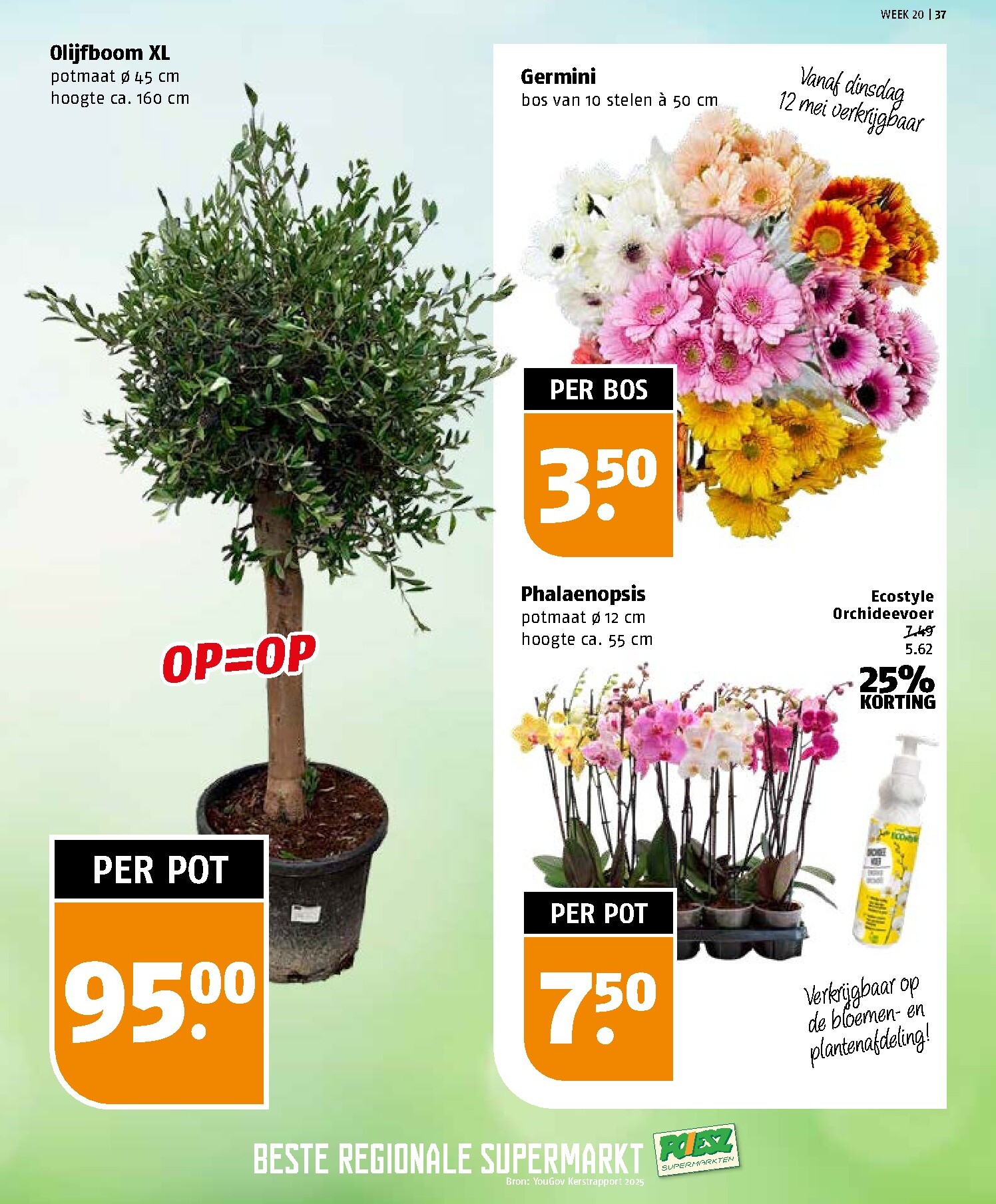 poiesz - Poiesz folder voor volgende week van zondag 10-05-2026 tot zaterdag 16-05-2026 - page: 37