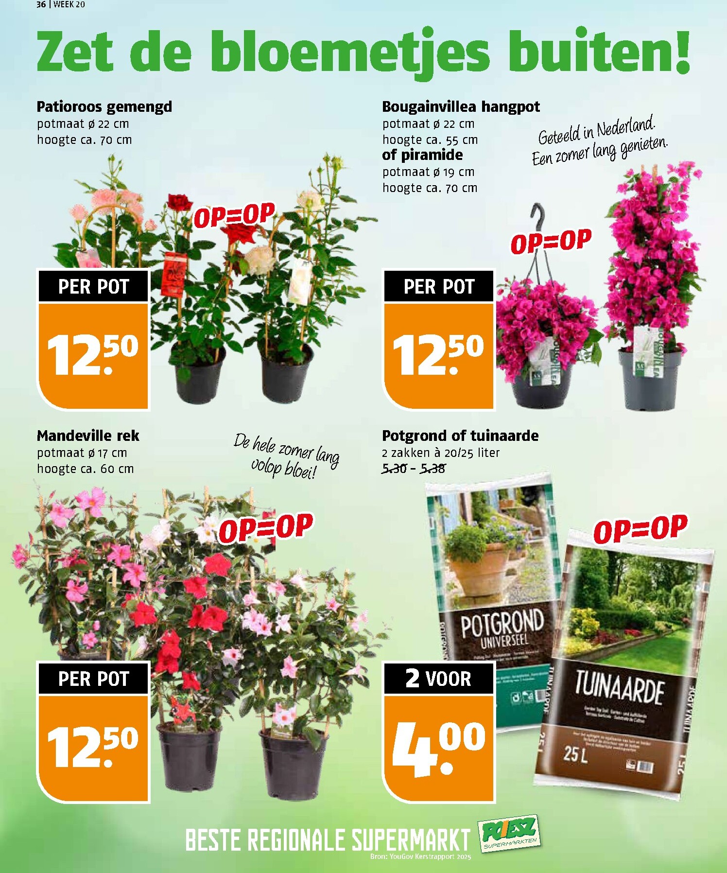 poiesz - Poiesz folder voor volgende week van zondag 10-05-2026 tot zaterdag 16-05-2026 - page: 36