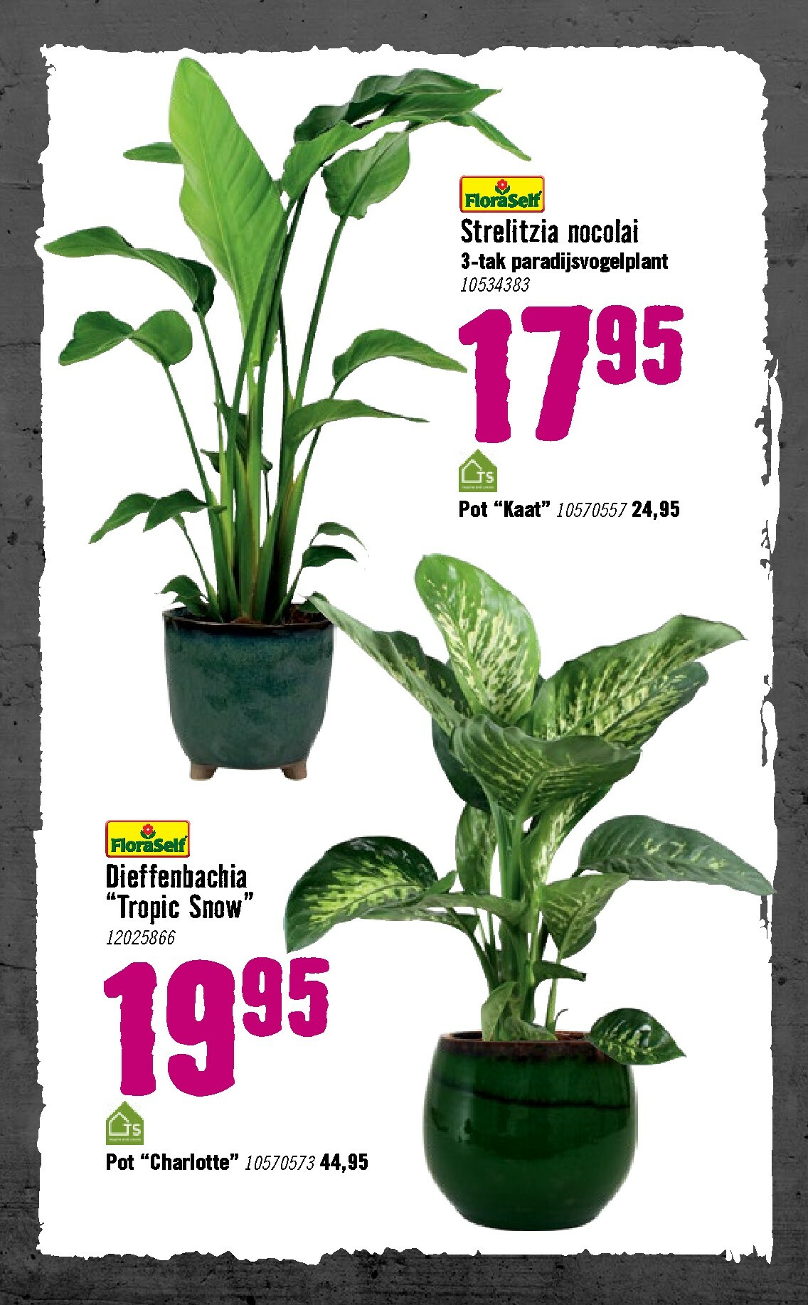 hornbach - De Hornbach folder geldig vanaf 05-01 t/m 08-02 - page: 78