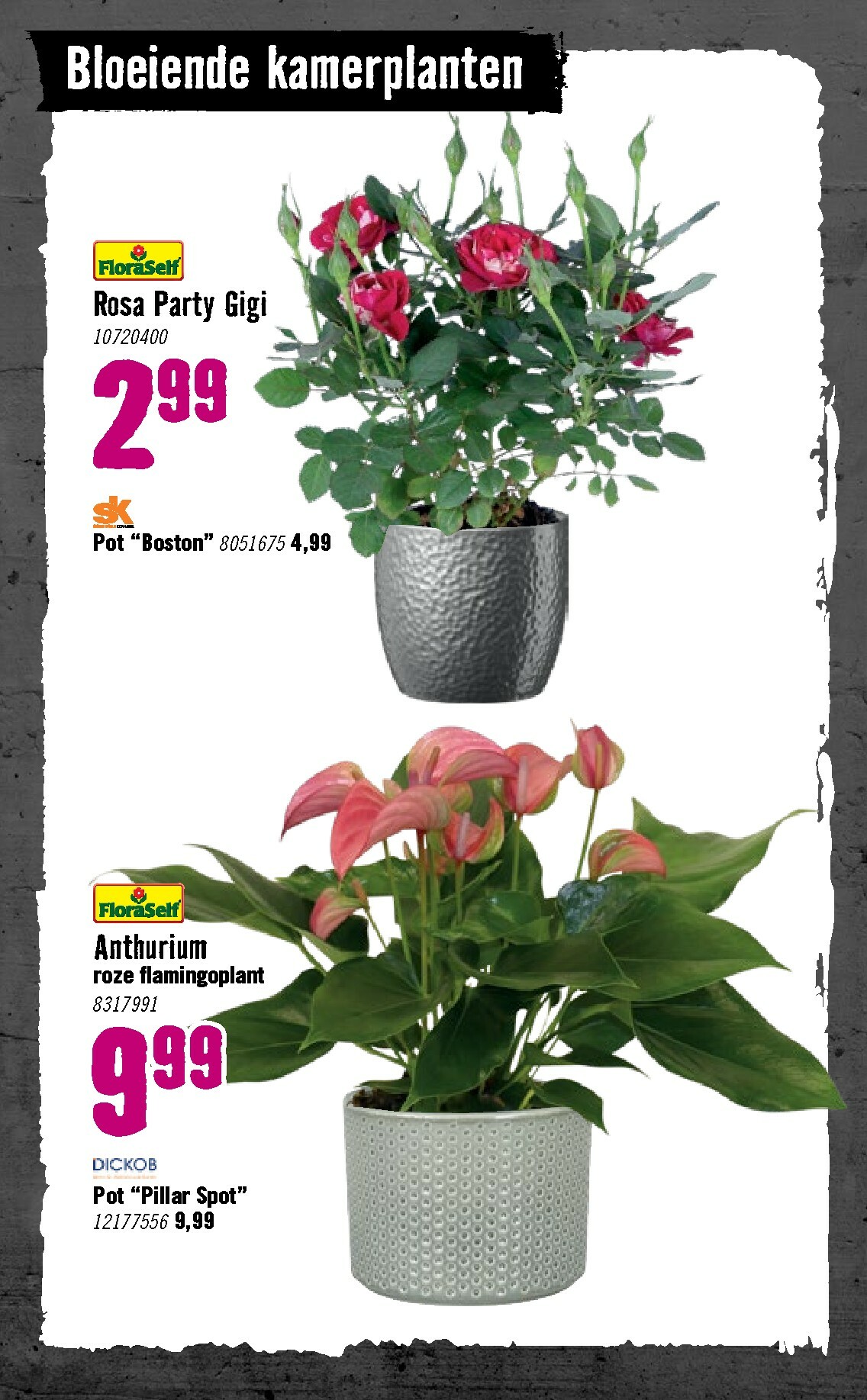 hornbach - De Hornbach folder geldig vanaf 05-01 t/m 08-02 - page: 72