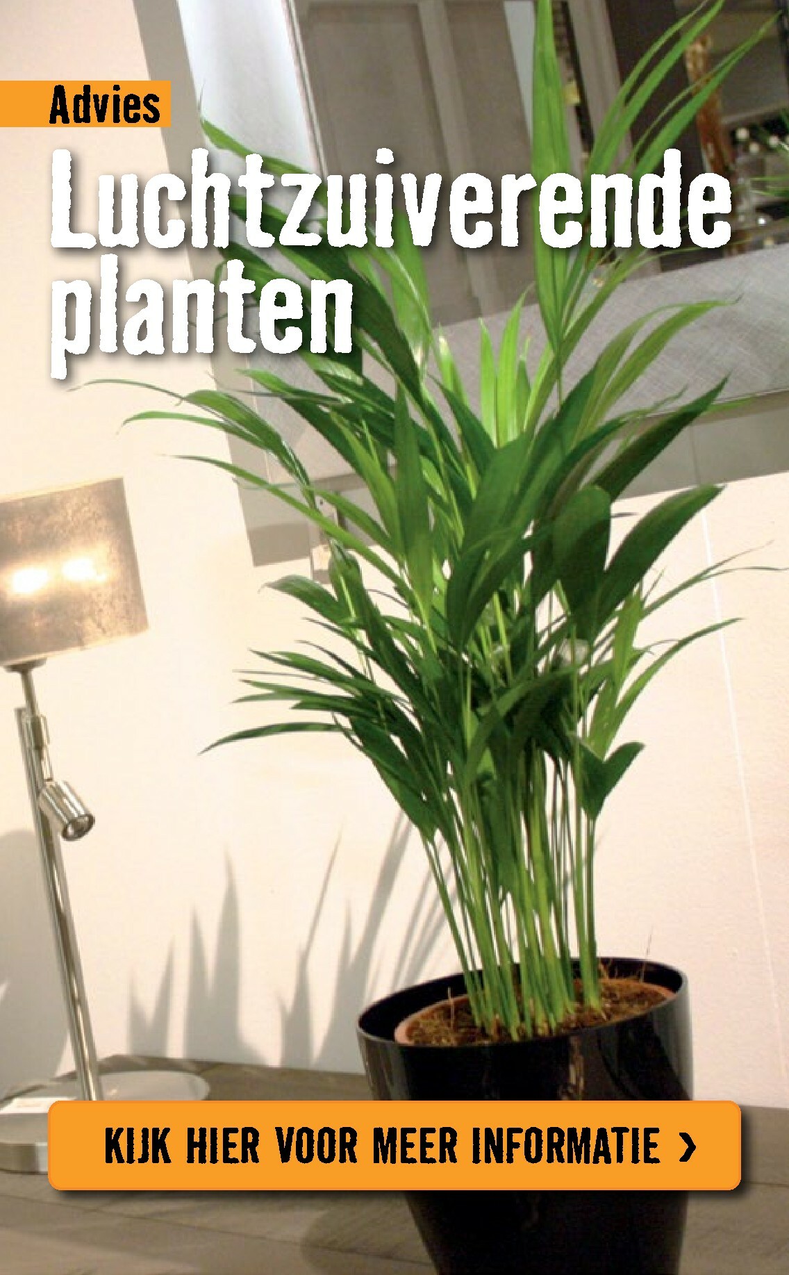 hornbach - De Hornbach folder geldig vanaf 05-01 t/m 08-02 - page: 79