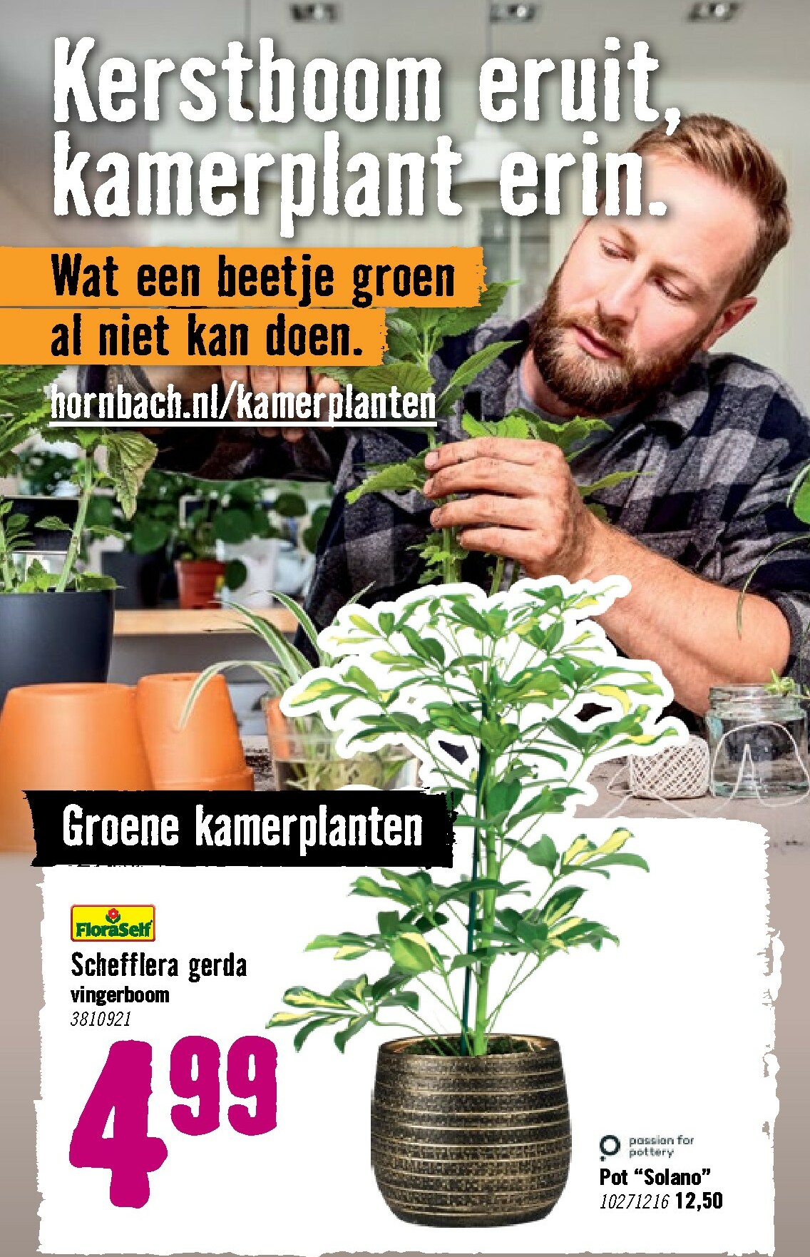 hornbach - De Hornbach folder geldig vanaf 05-01 t/m 08-02 - page: 70