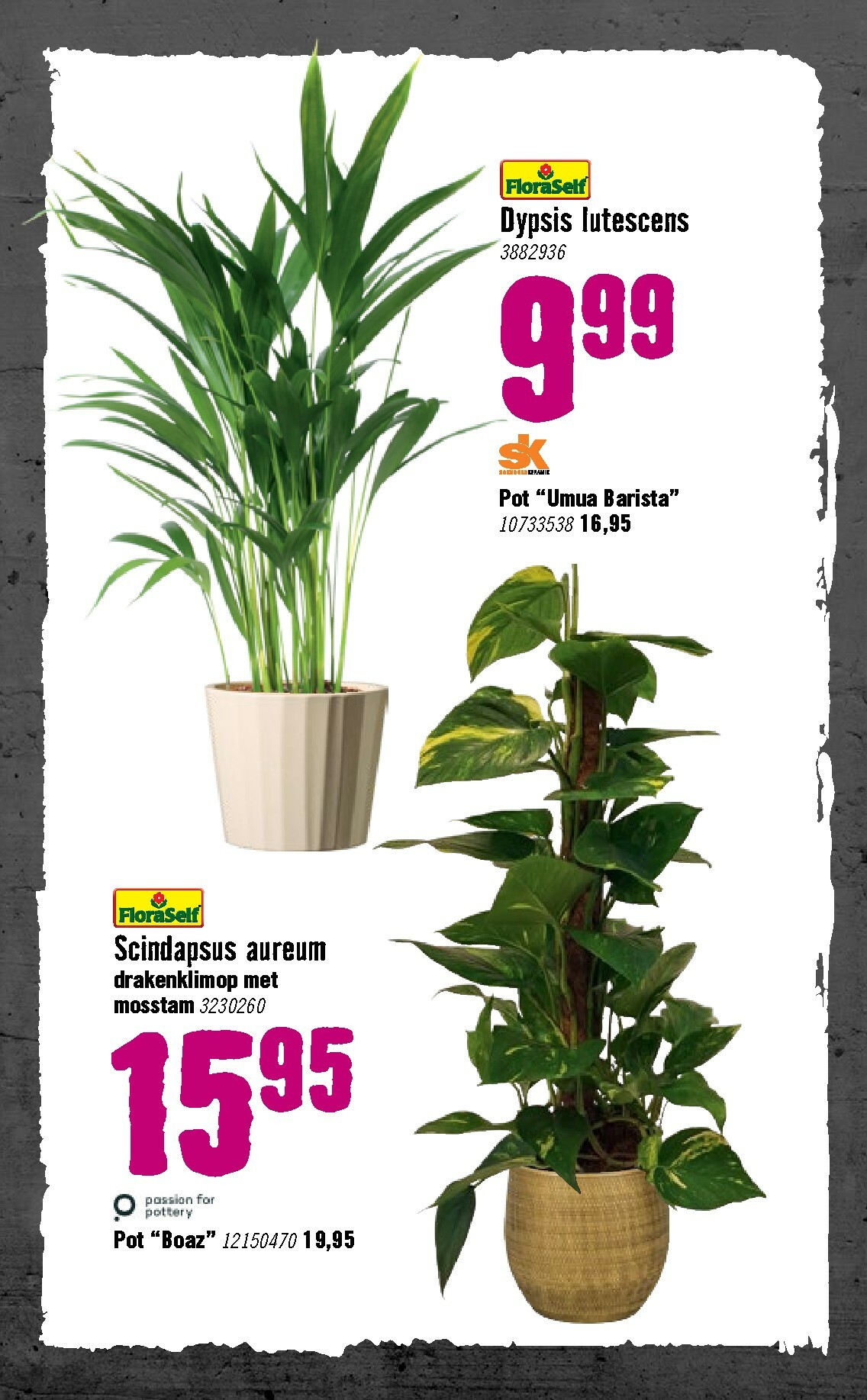 hornbach - De Hornbach folder geldig vanaf 05-01 t/m 08-02 - page: 81