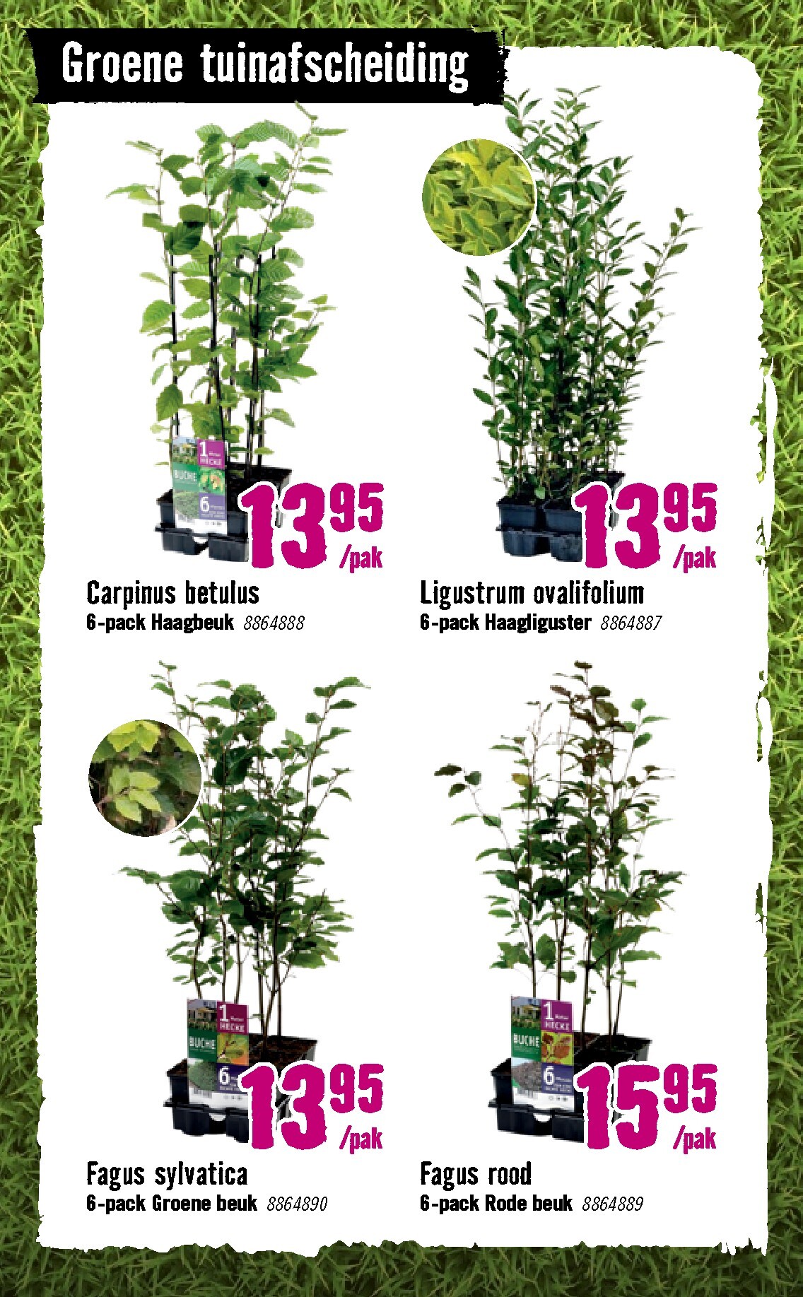 hornbach - De Hornbach folder geldig vanaf 09-03-2026 t/m 05-04-2026 - page: 37