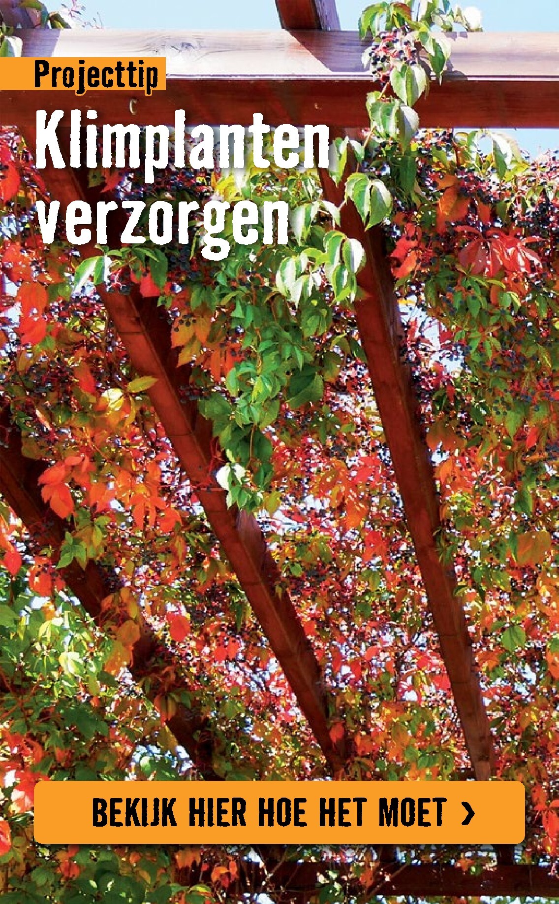 hornbach - Huidige Hornbach folder geldig van dinsdag 07-04-2026 tot zondag 03-05-2026 - page: 11