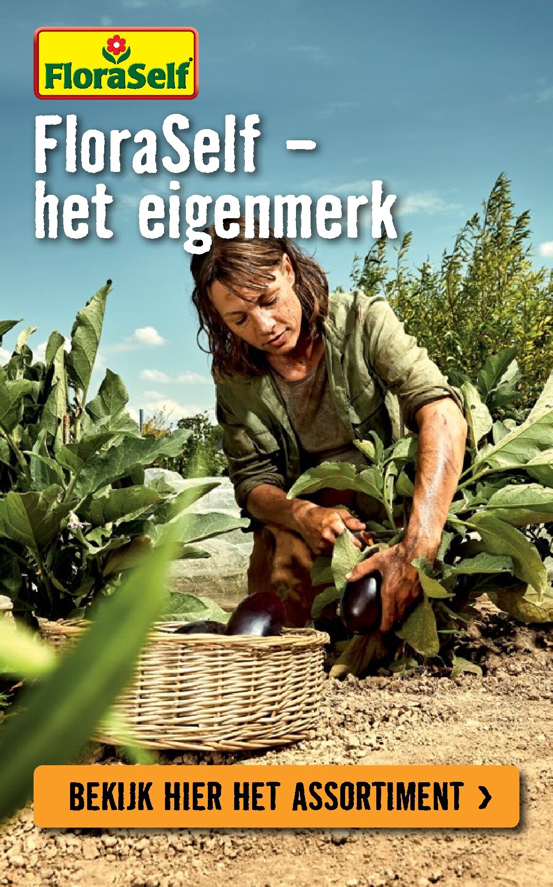 hornbach - Huidige Hornbach folder geldig van dinsdag 07-04-2026 tot zondag 03-05-2026 - page: 6