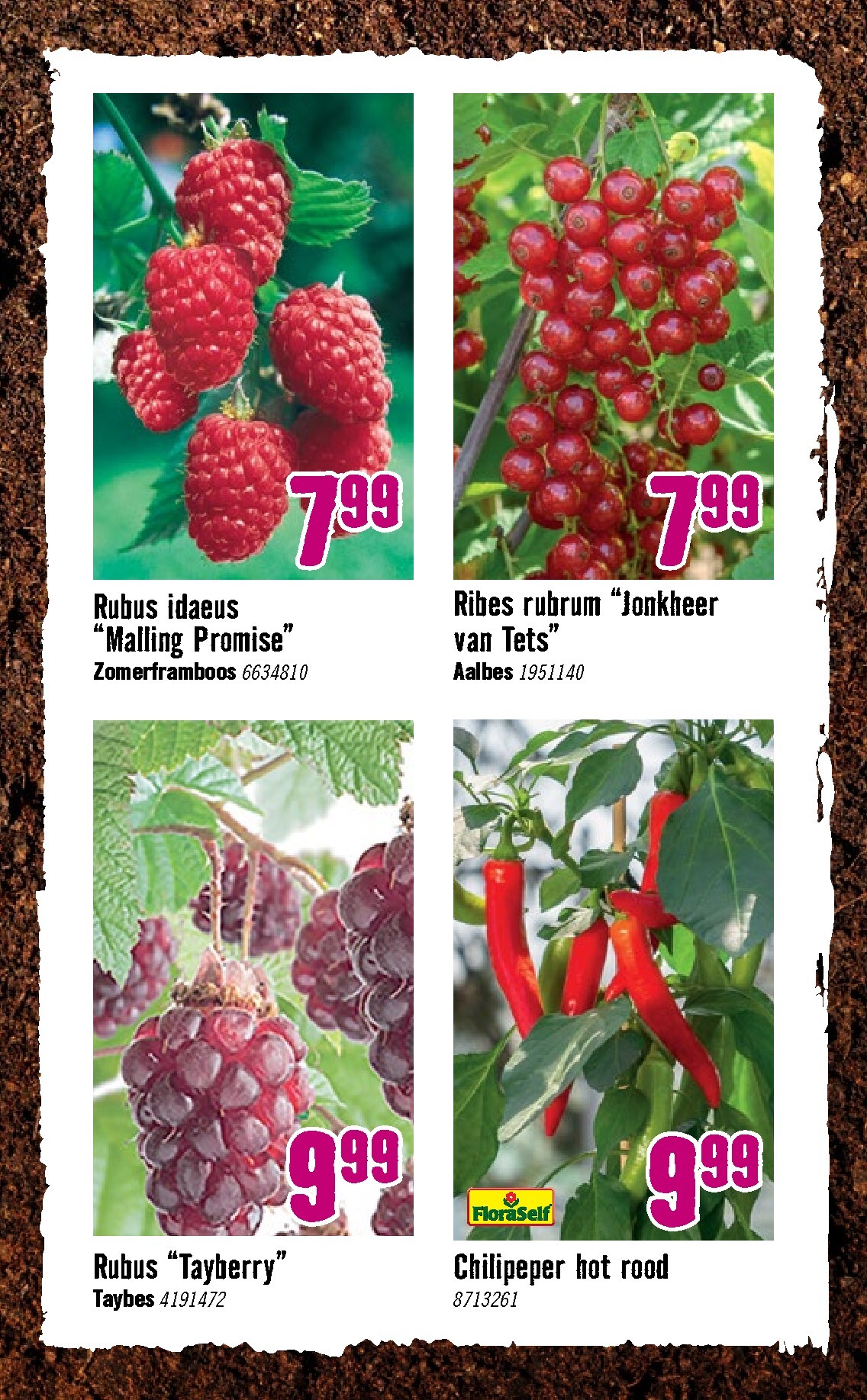 hornbach - Huidige Hornbach folder geldig van dinsdag 07-04-2026 tot zondag 03-05-2026 - page: 27