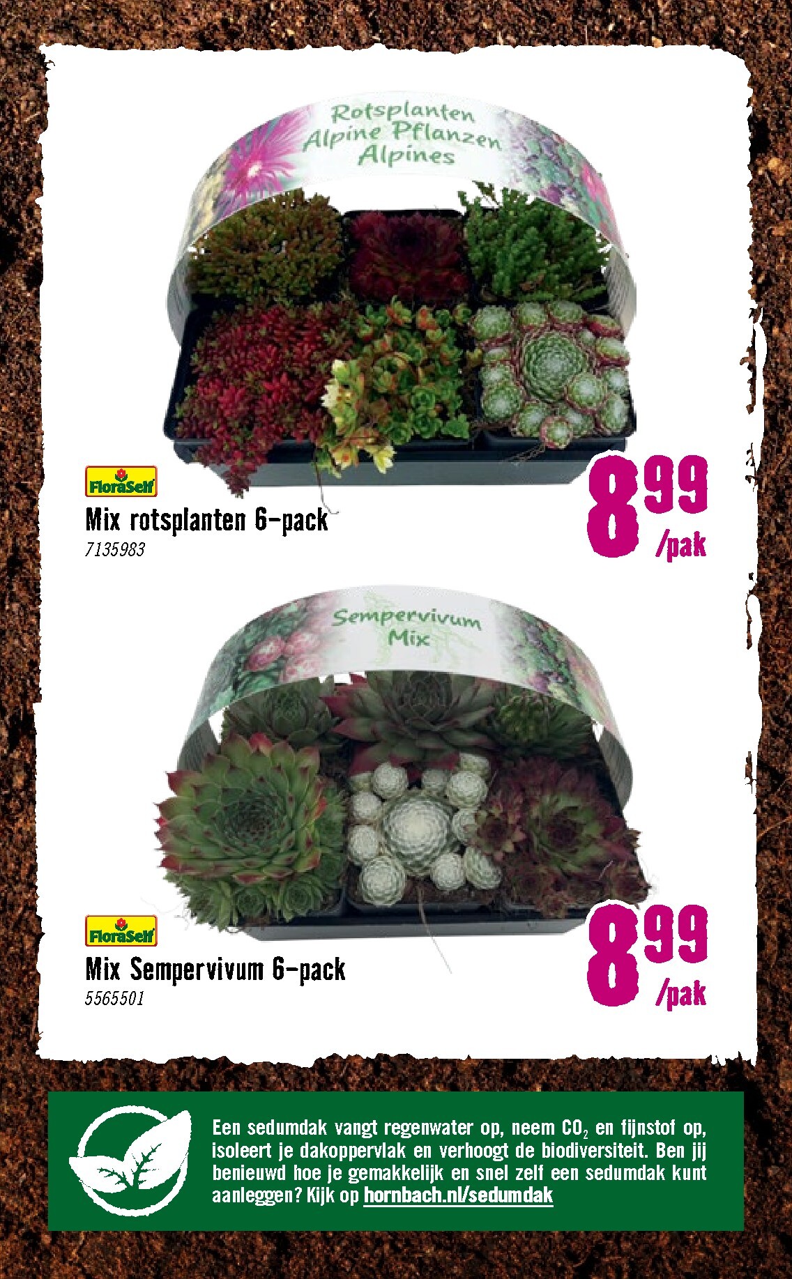 hornbach - Huidige Hornbach folder geldig van dinsdag 07-04-2026 tot zondag 03-05-2026 - page: 18