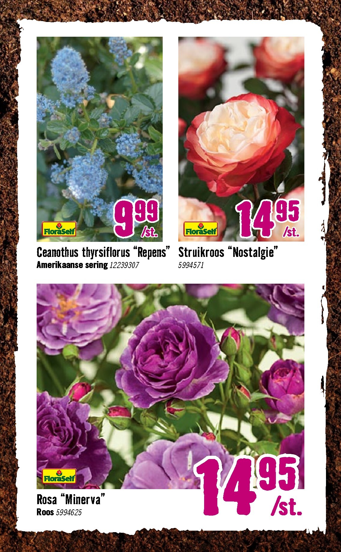 hornbach - Huidige Hornbach folder geldig van dinsdag 07-04-2026 tot zondag 03-05-2026 - page: 3