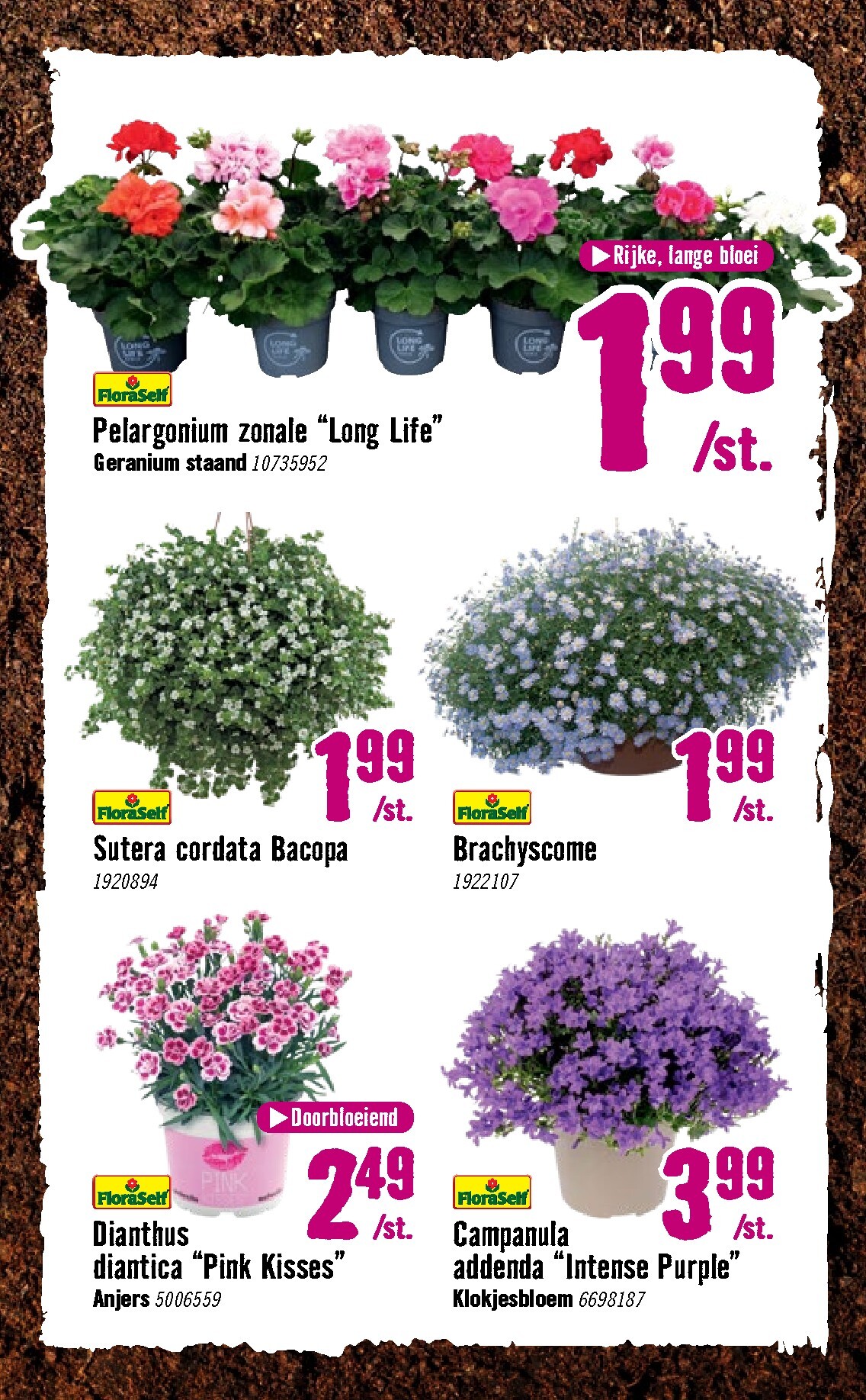 hornbach - Huidige Hornbach folder geldig van dinsdag 07-04-2026 tot zondag 03-05-2026 - page: 13