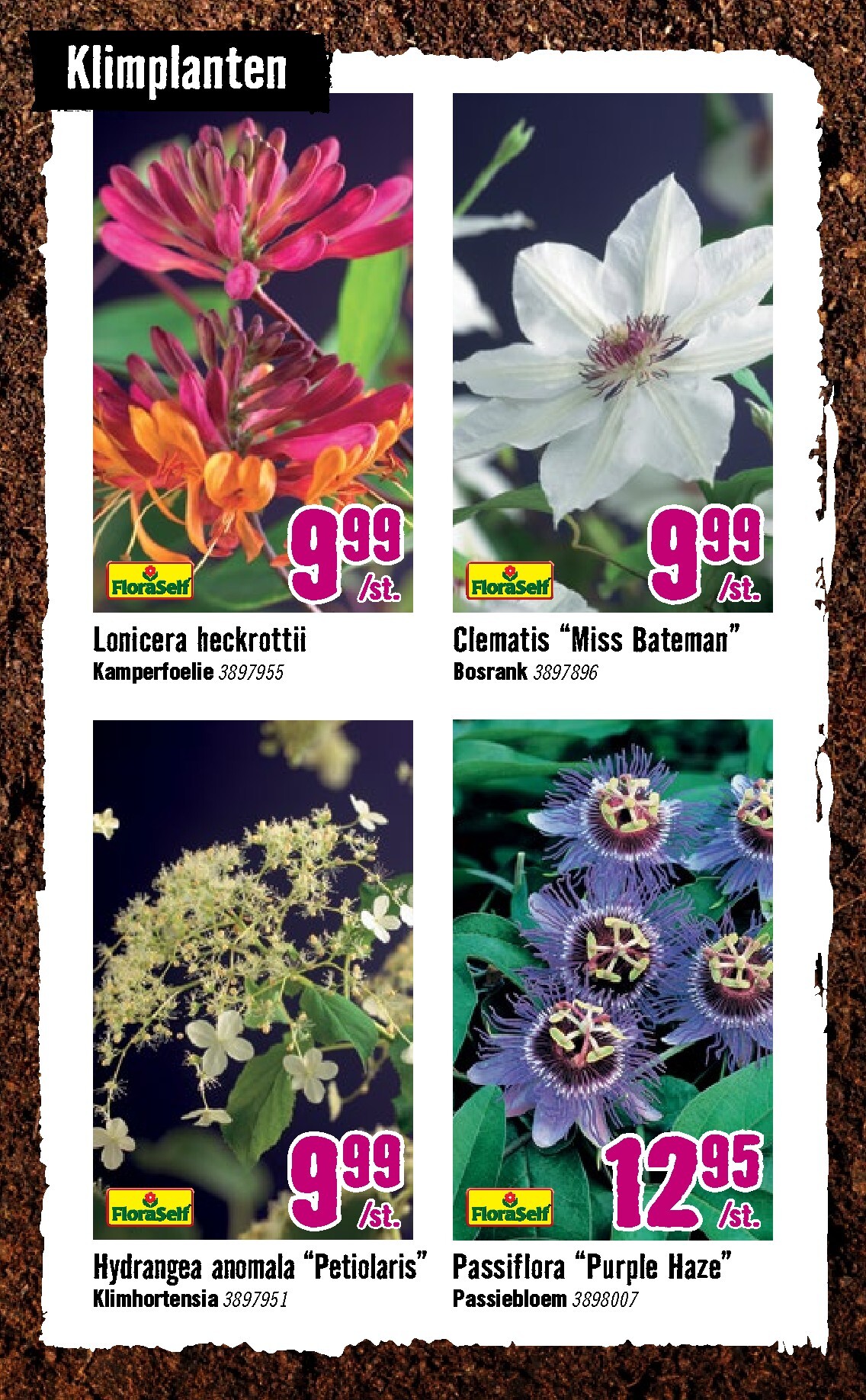 hornbach - Huidige Hornbach folder geldig van dinsdag 07-04-2026 tot zondag 03-05-2026 - page: 7