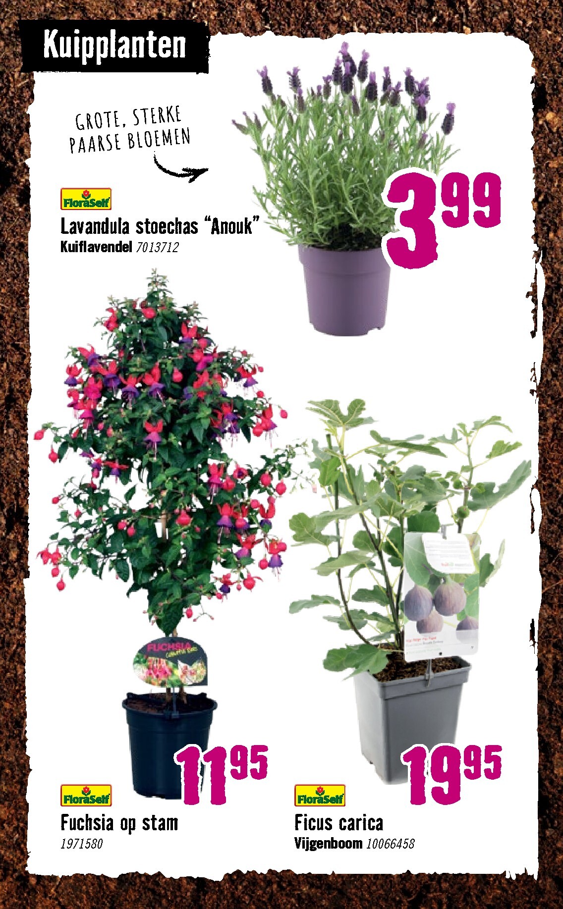 hornbach - Huidige Hornbach folder geldig van dinsdag 07-04-2026 tot zondag 03-05-2026 - page: 22