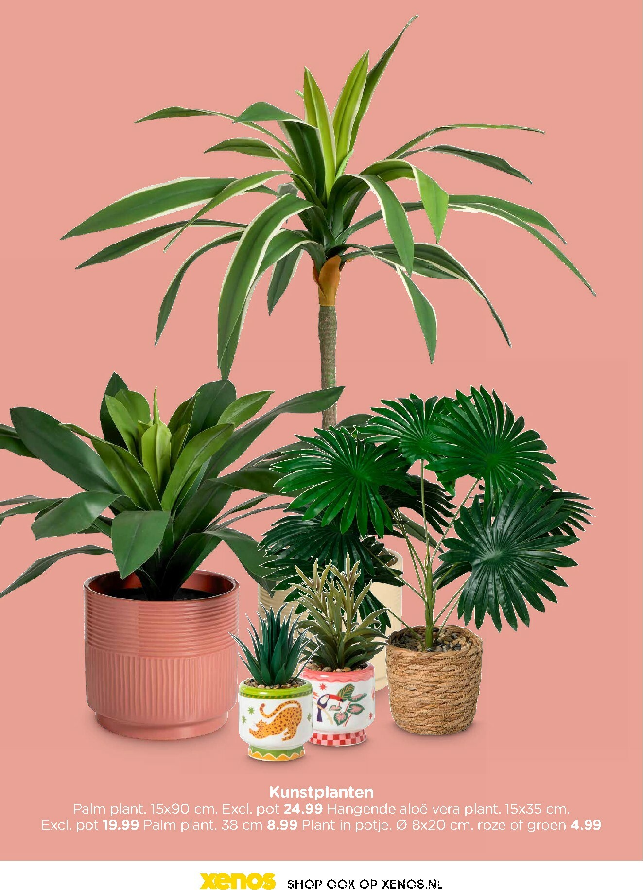 xenos - De Xenos - Trendmagazine voorjaar folder geldig vanaf 19-01 t/m 19-04 - page: 12