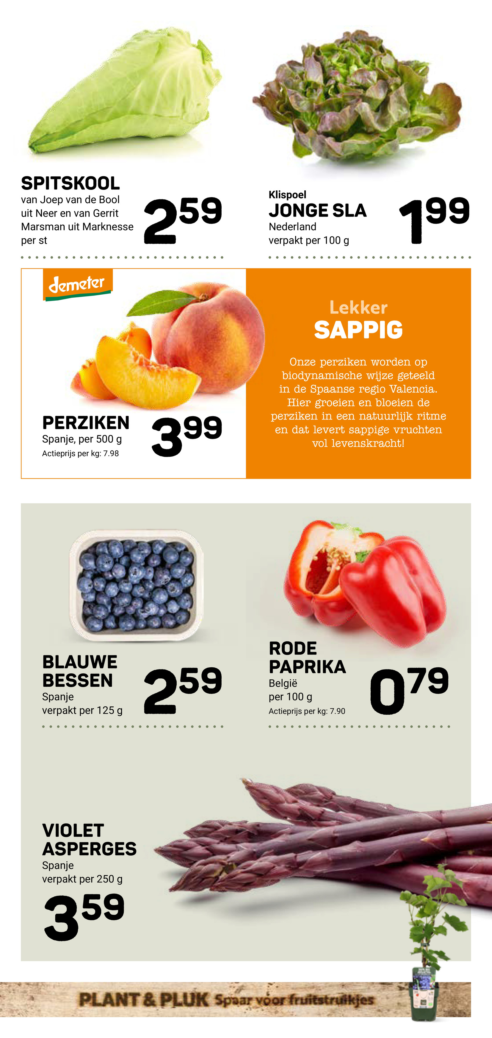 ekoplaza - Huidige Ekoplaza folder geldig van woensdag 27-05-2026 tot dinsdag 02-06-2026 - page: 11