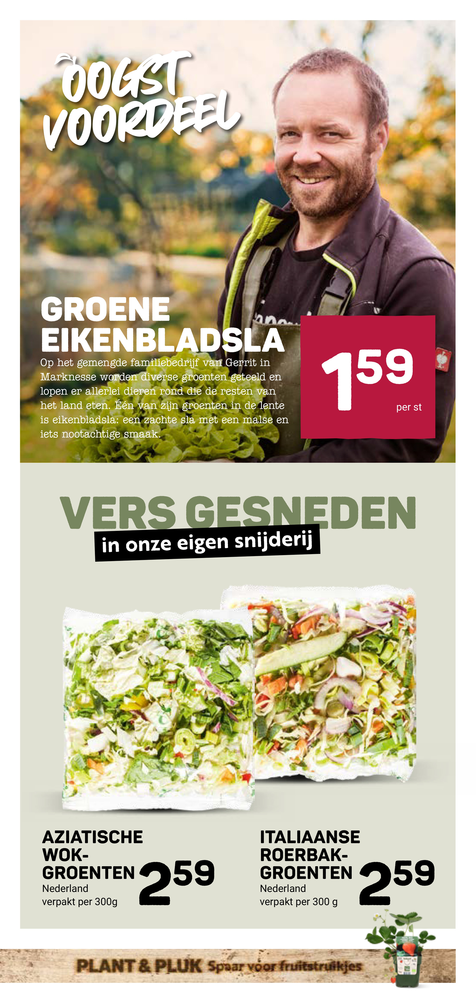 ekoplaza - Huidige Ekoplaza folder geldig van woensdag 27-05-2026 tot dinsdag 02-06-2026 - page: 9