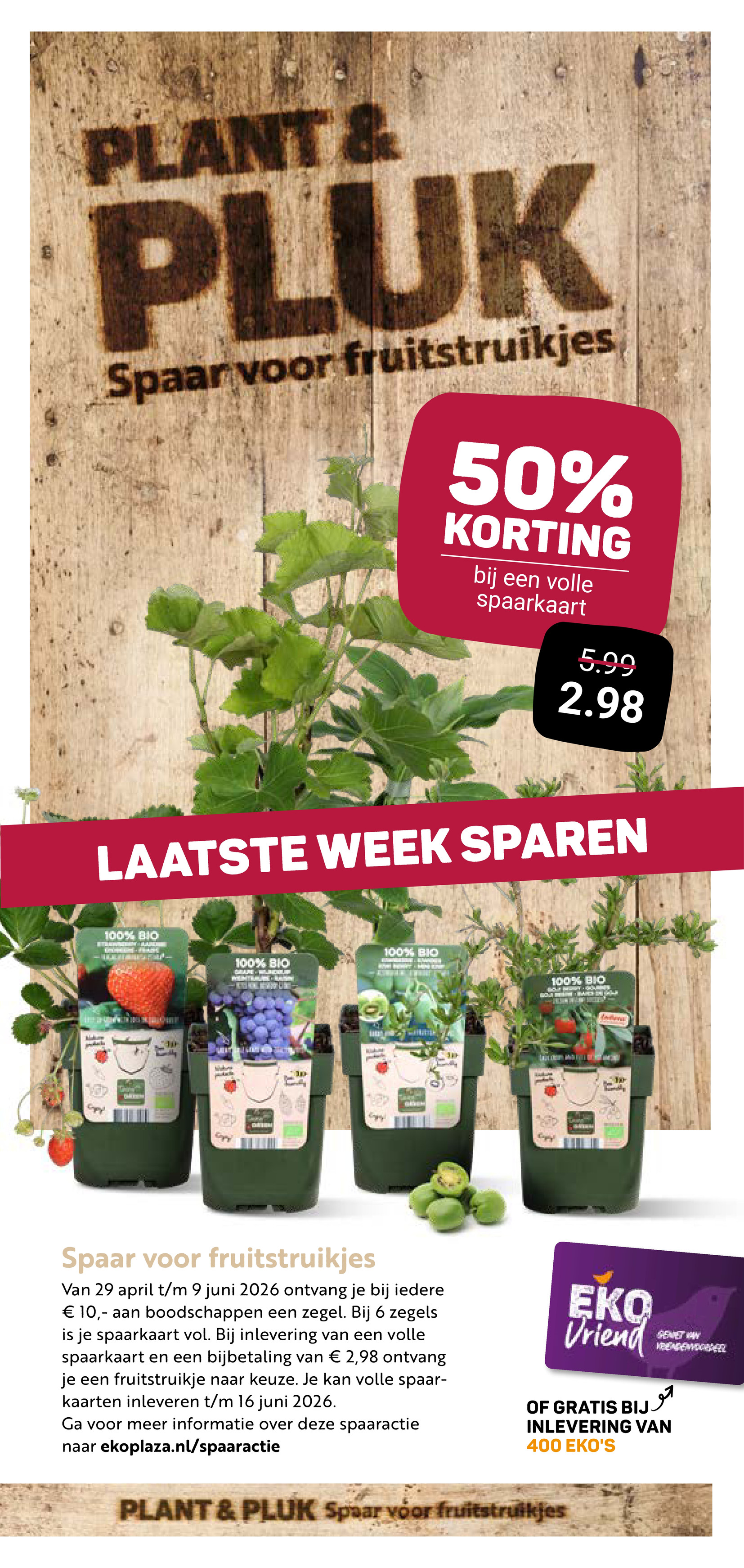 ekoplaza - Huidige Ekoplaza folder geldig van woensdag 03-06-2026 tot dinsdag 09-06-2026 - page: 13