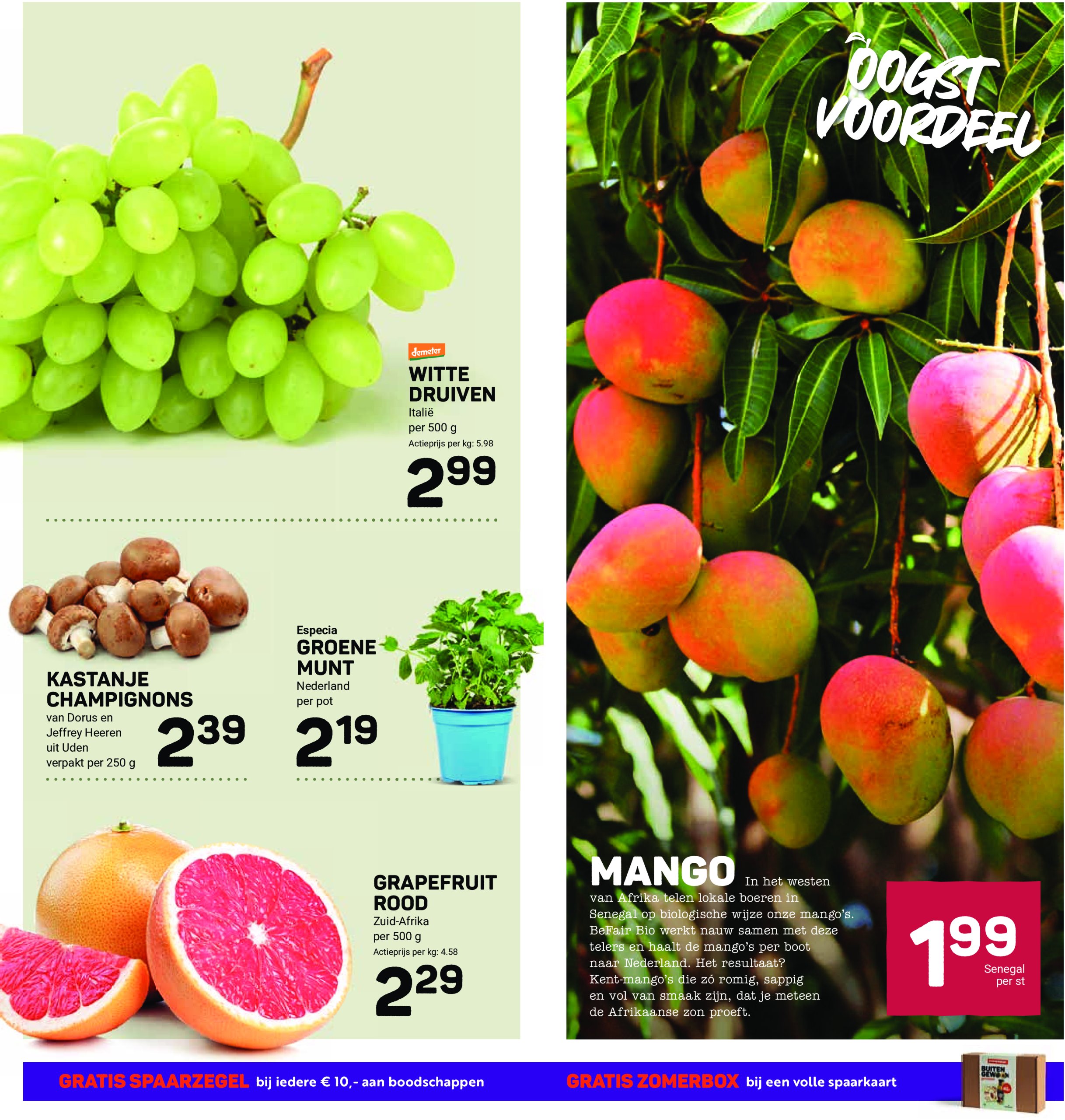 ekoplaza - Ekoplaza folder geldig vanaf 09-07 t/m 15-07 - page: 7