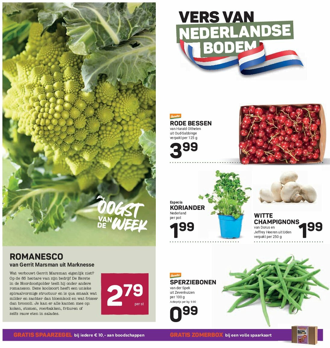 ekoplaza - Ekoplaza folder geldig vanaf 30-07 t/m 05-08 - page: 6