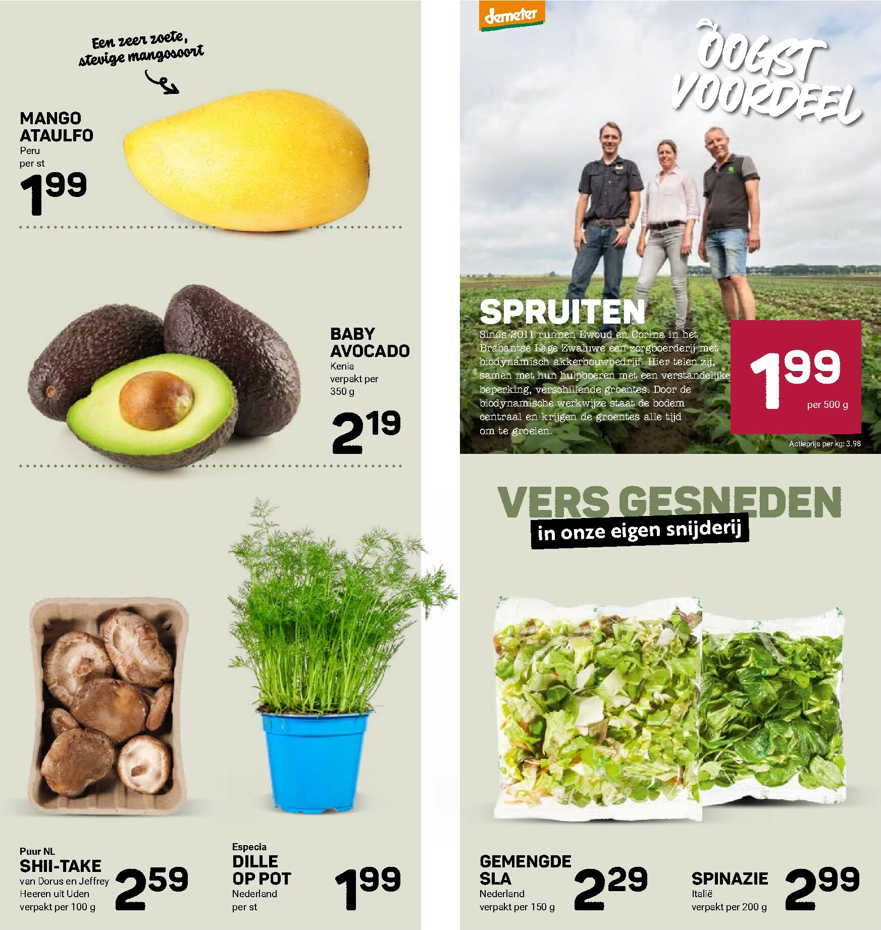 ekoplaza - De Ekoplaza folder geldig vanaf 12-11 t/m 18-11 - page: 8