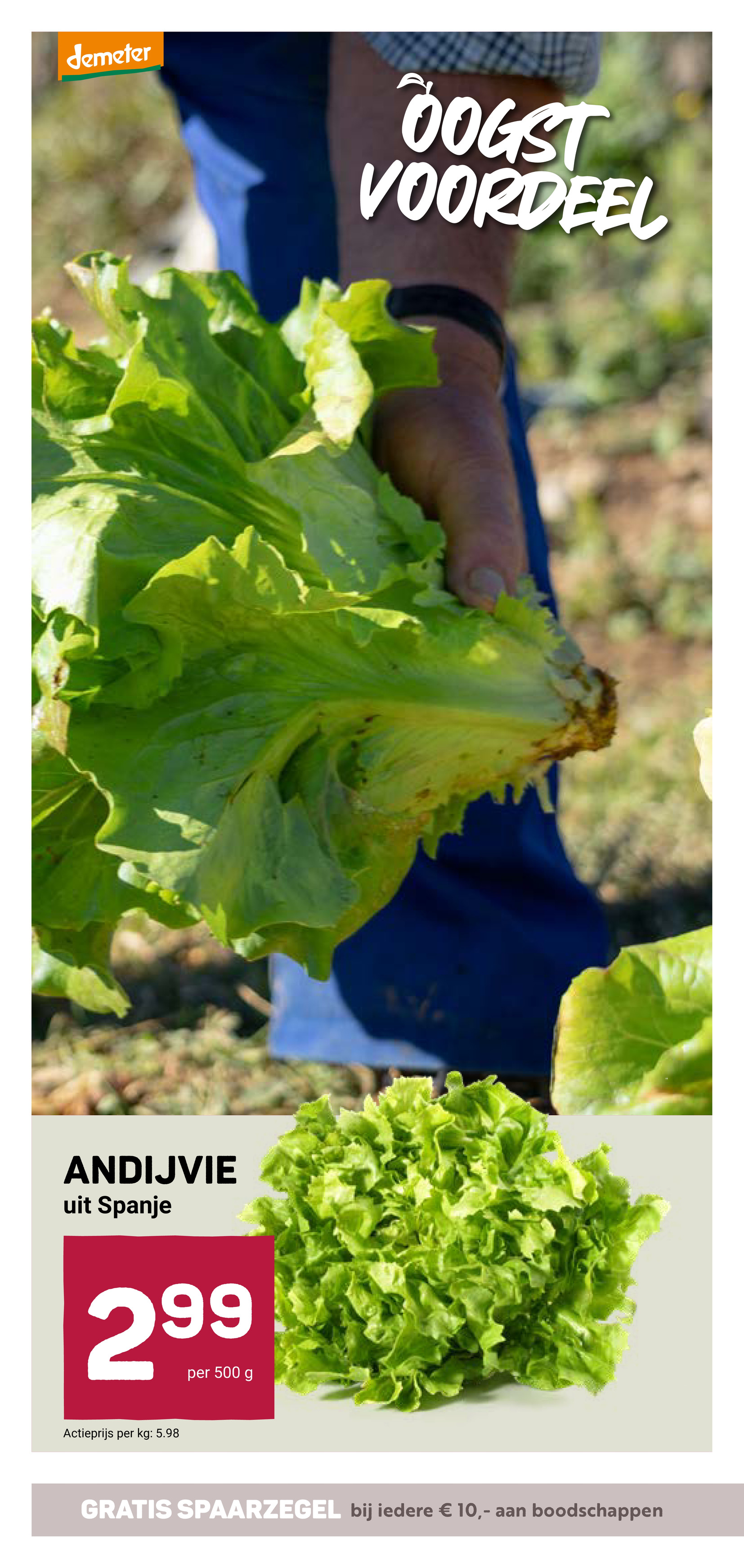 ekoplaza - De Ekoplaza folder geldig vanaf 28-01 t/m 03-02 - page: 14