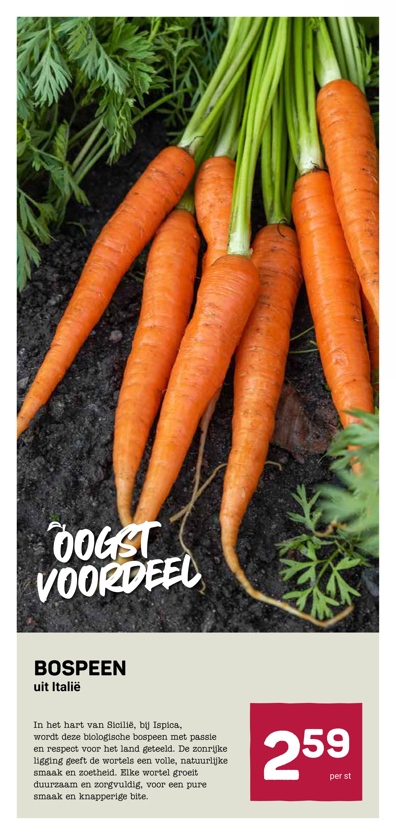 ekoplaza - De Ekoplaza folder geldig vanaf 04-02-2026 t/m 10-02-2026 - page: 10