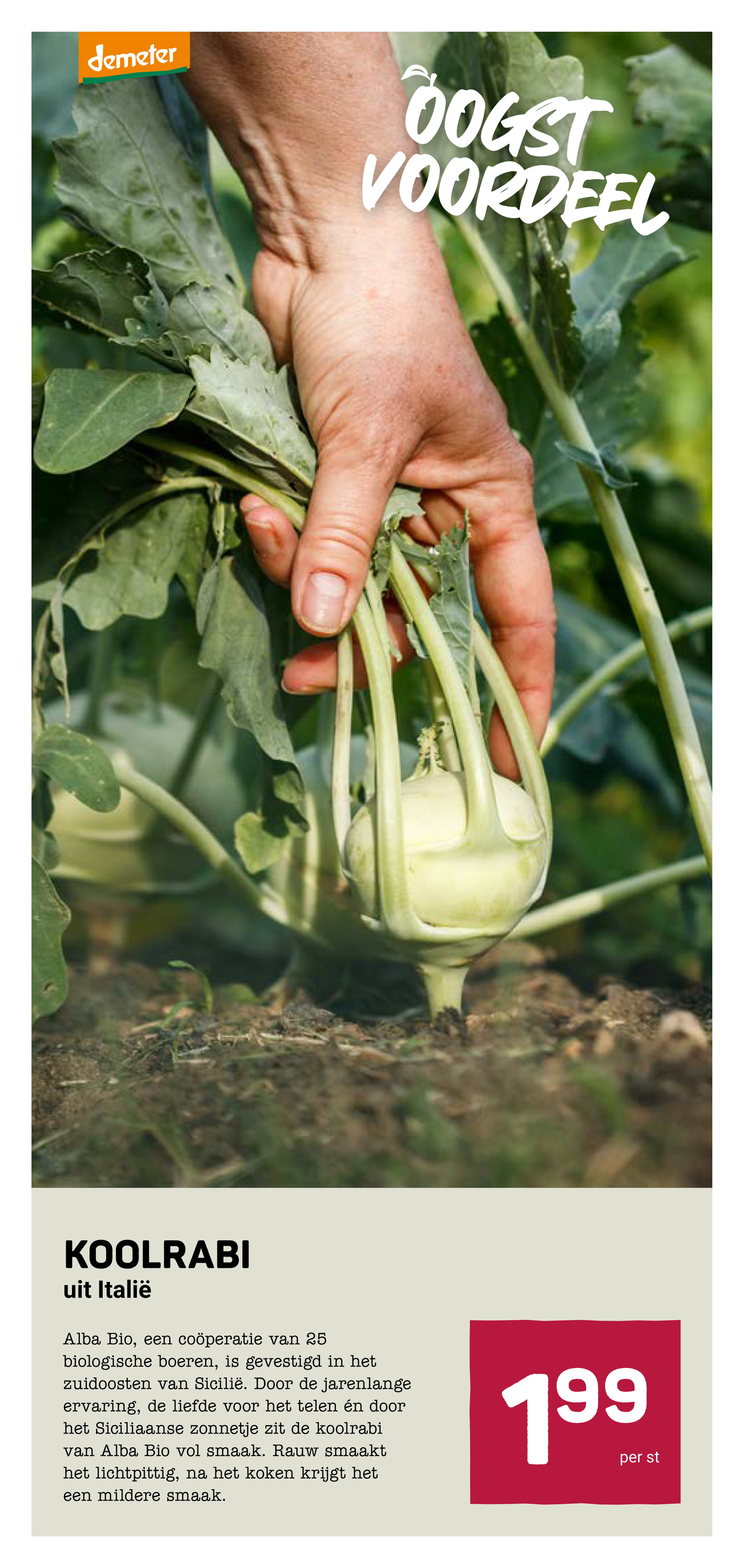 ekoplaza - De Ekoplaza folder geldig vanaf 25-02-2026 t/m 03-03-2026 - page: 13