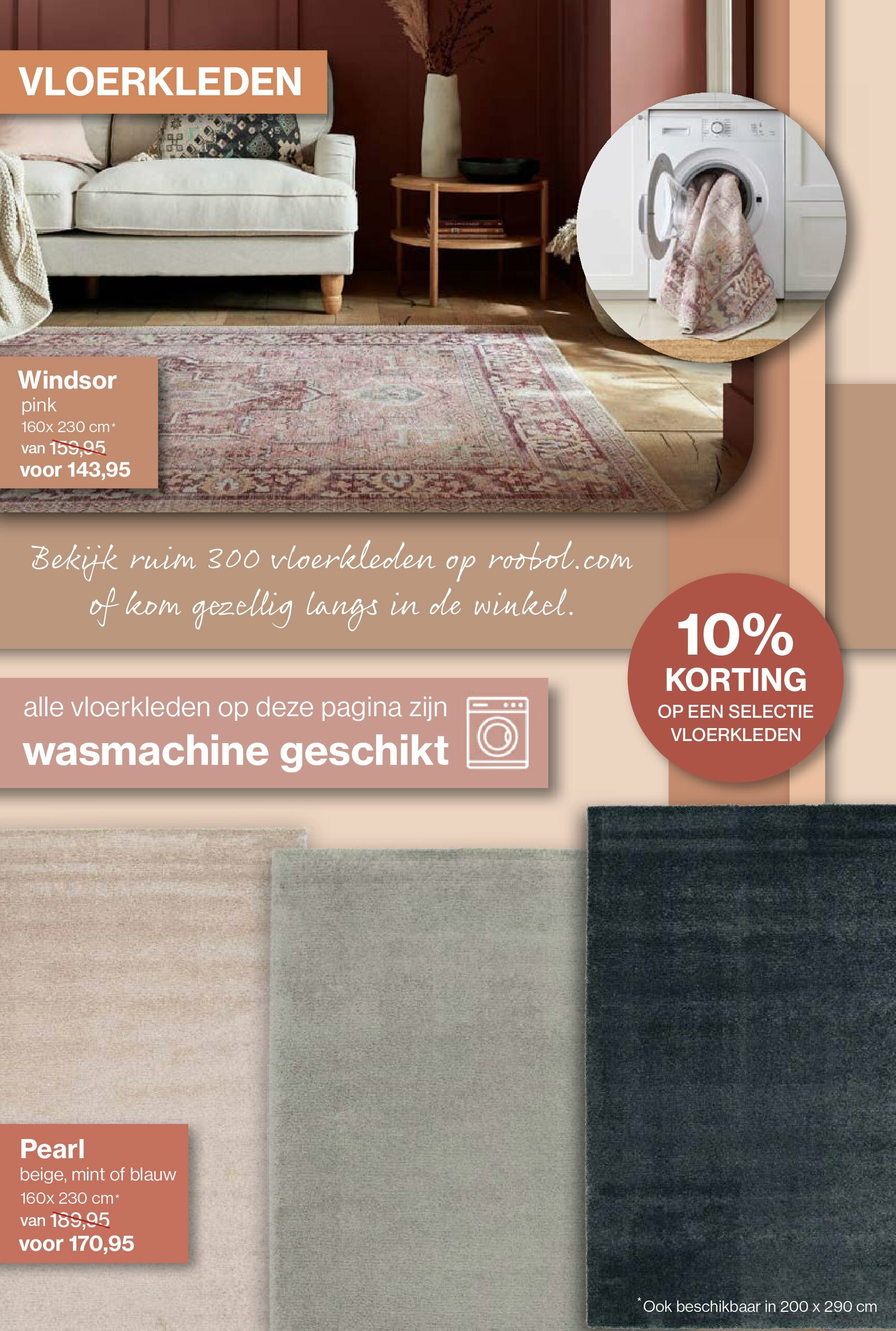 roobol - Roobol folder geldig vanaf 23-08 t/m 03-10 - page: 3