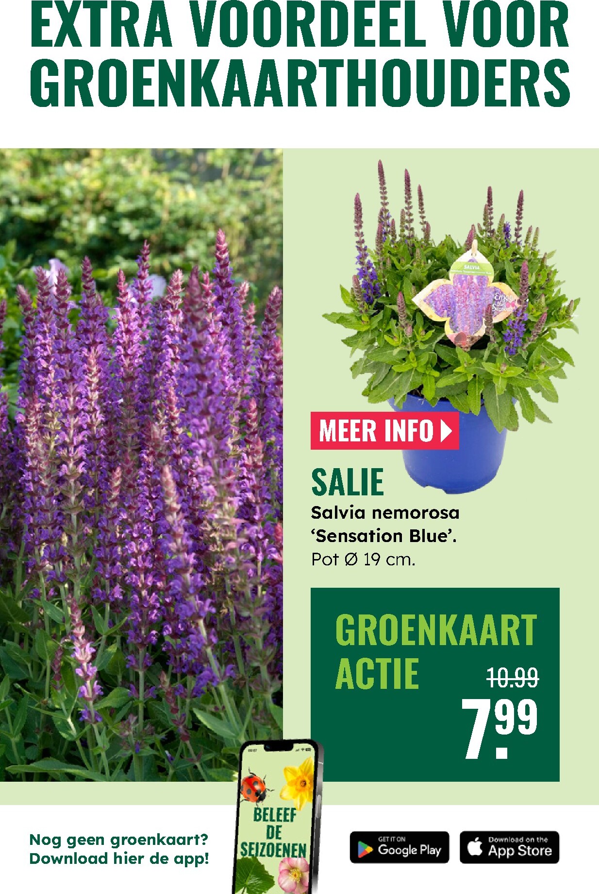 groenrijk - Huidige GroenRijk folder geldig van donderdag 21-05-2026 tot woensdag 27-05-2026 - page: 3