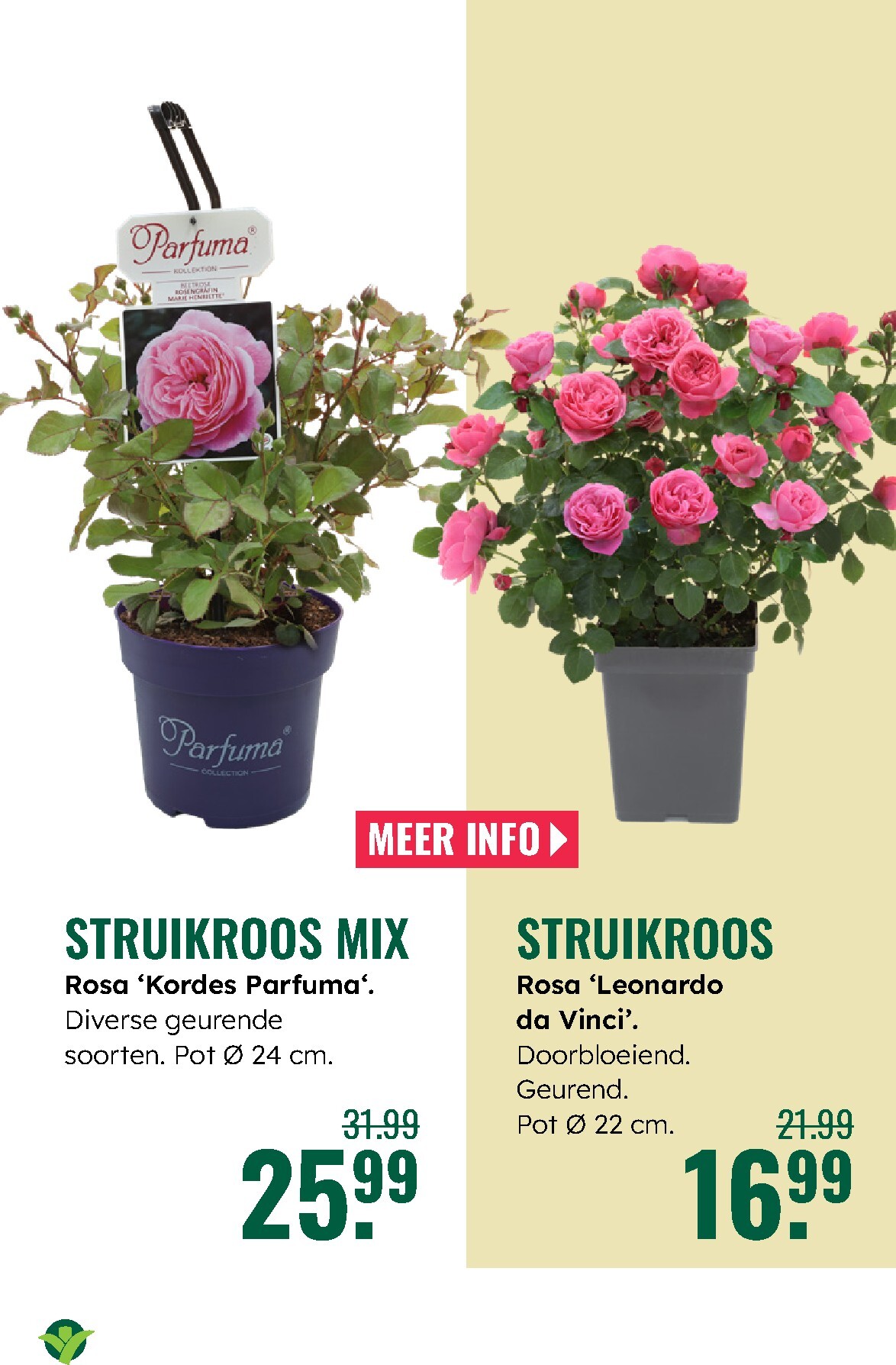 groenrijk - Huidige GroenRijk folder geldig van donderdag 21-05-2026 tot woensdag 27-05-2026 - page: 16