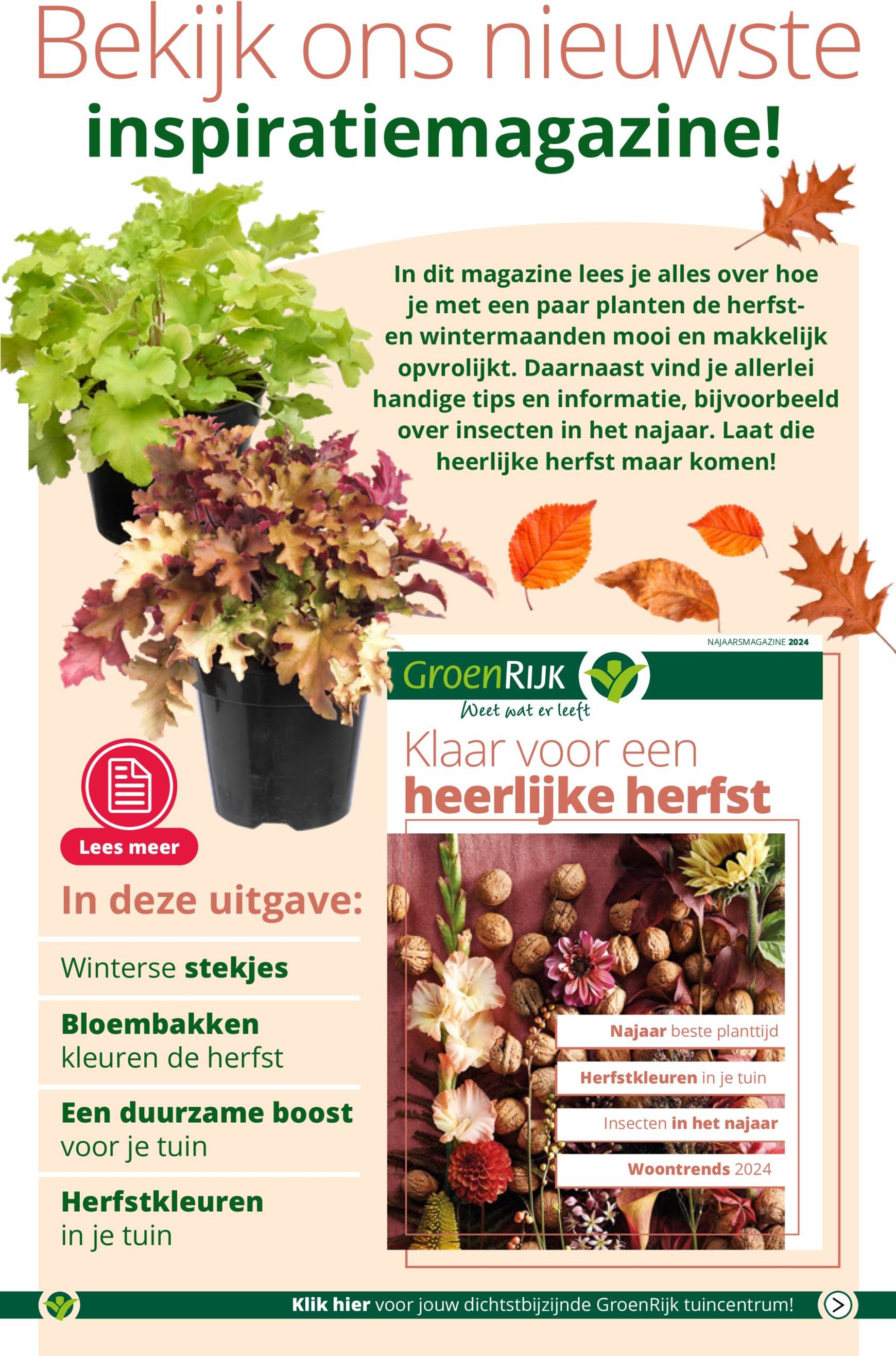 groenrijk - GroenRijk folder geldig vanaf 13.11. - 19.11. - page: 11