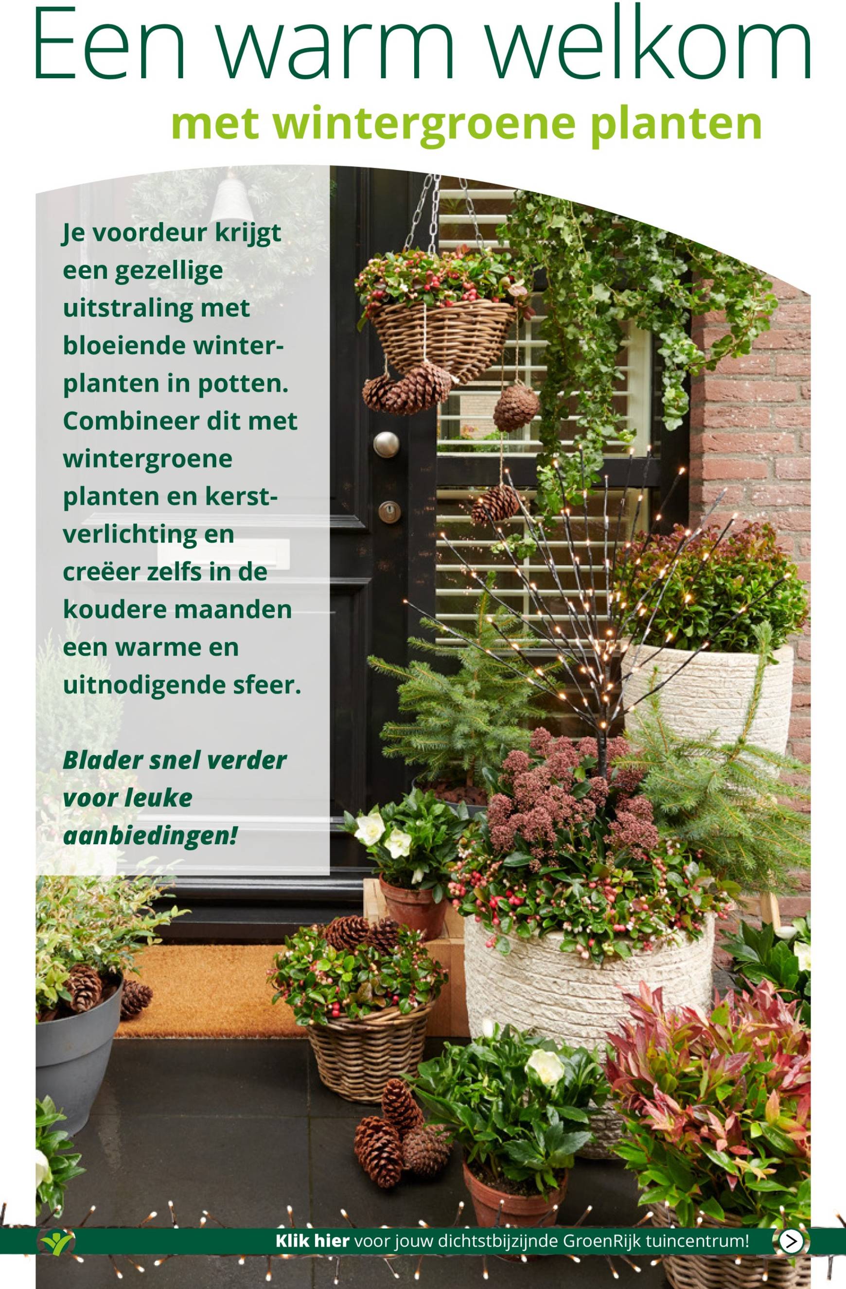 groenrijk - GroenRijk folder geldig vanaf 04-12 t/m 10-12 - page: 9