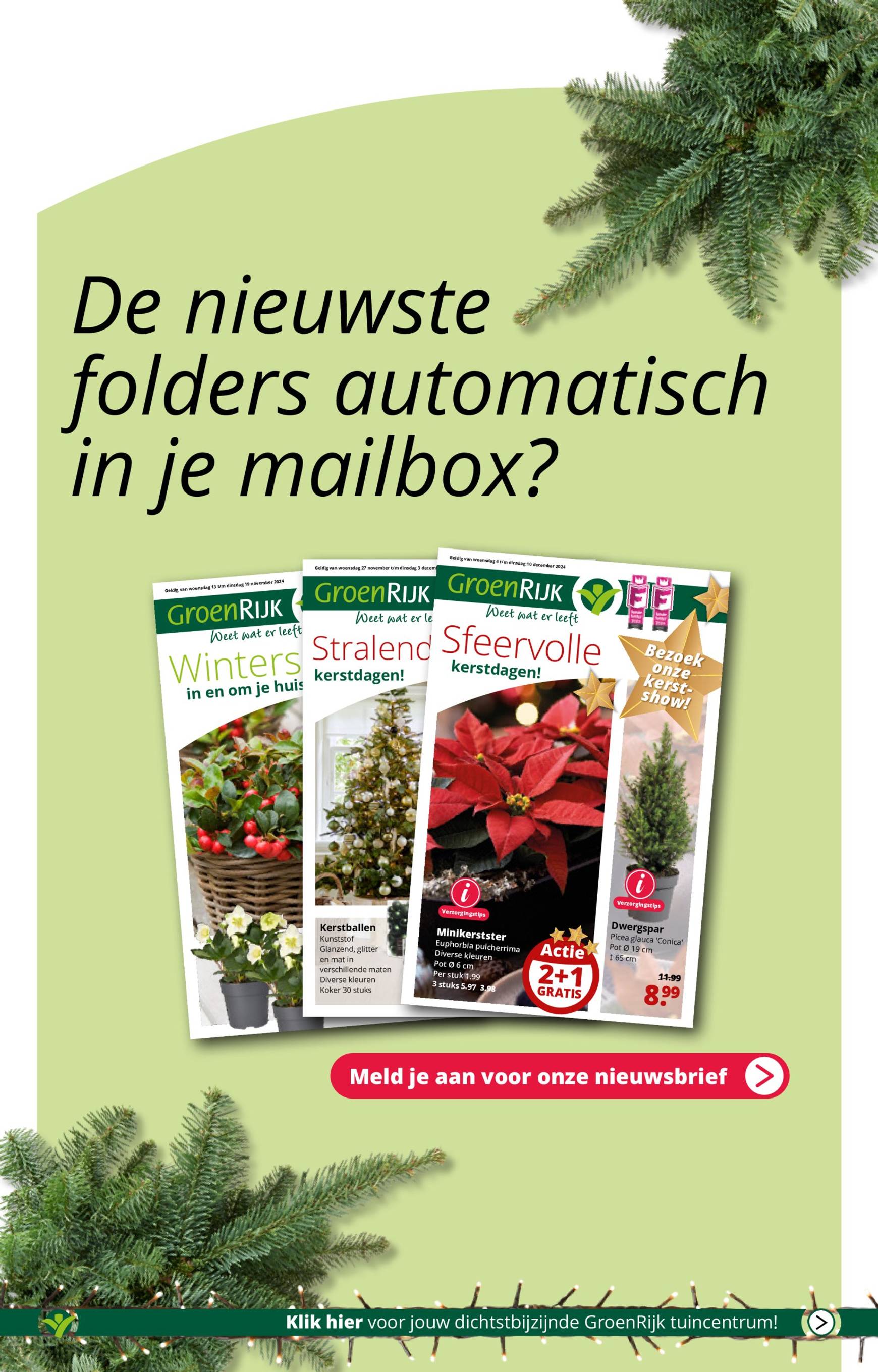 groenrijk - GroenRijk folder geldig vanaf 04-12 t/m 10-12 - page: 11