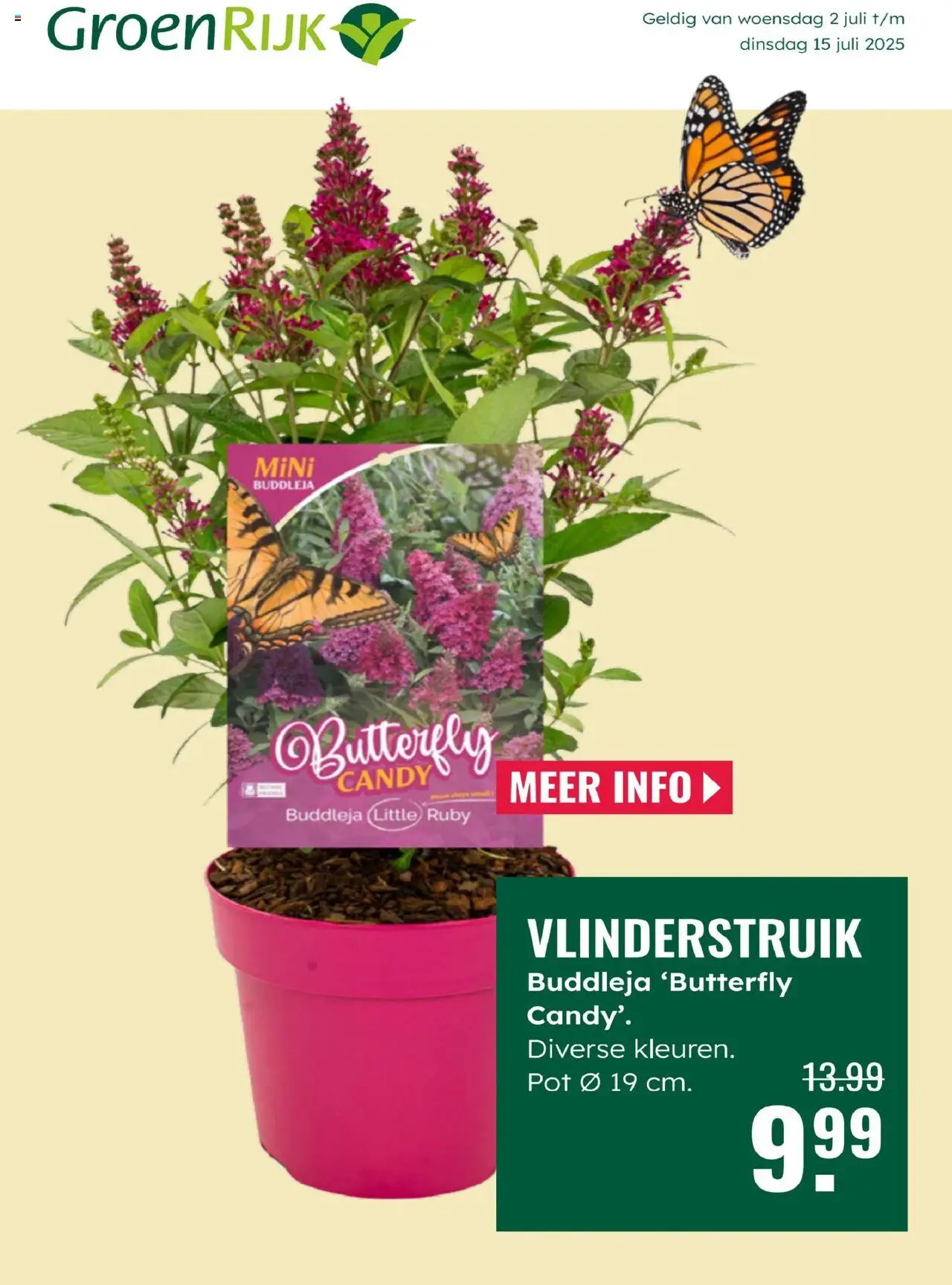 groenrijk - GroenRijk folder vanaf 02-07-2025 - 15-07-2025