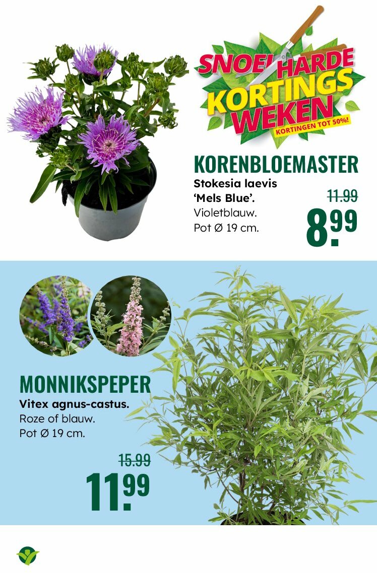 groenrijk - GroenRijk folder geldig vanaf 30-07 t/m 12-08 - page: 8