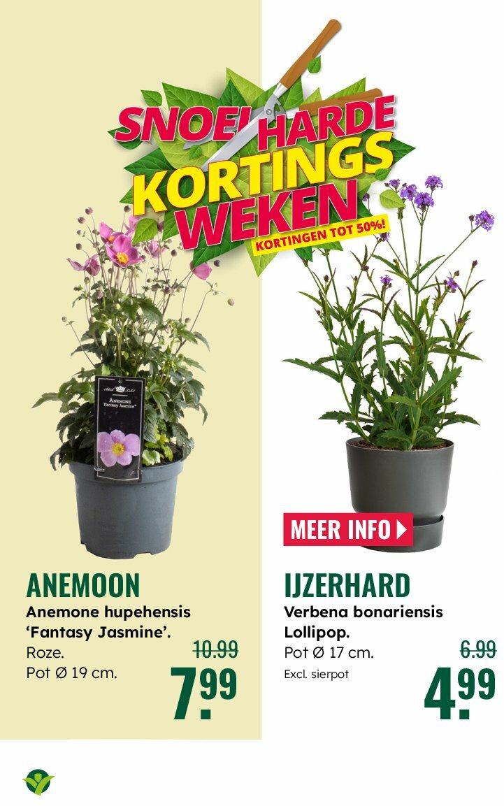 groenrijk - GroenRijk folder geldig vanaf 30-07 t/m 12-08 - page: 14