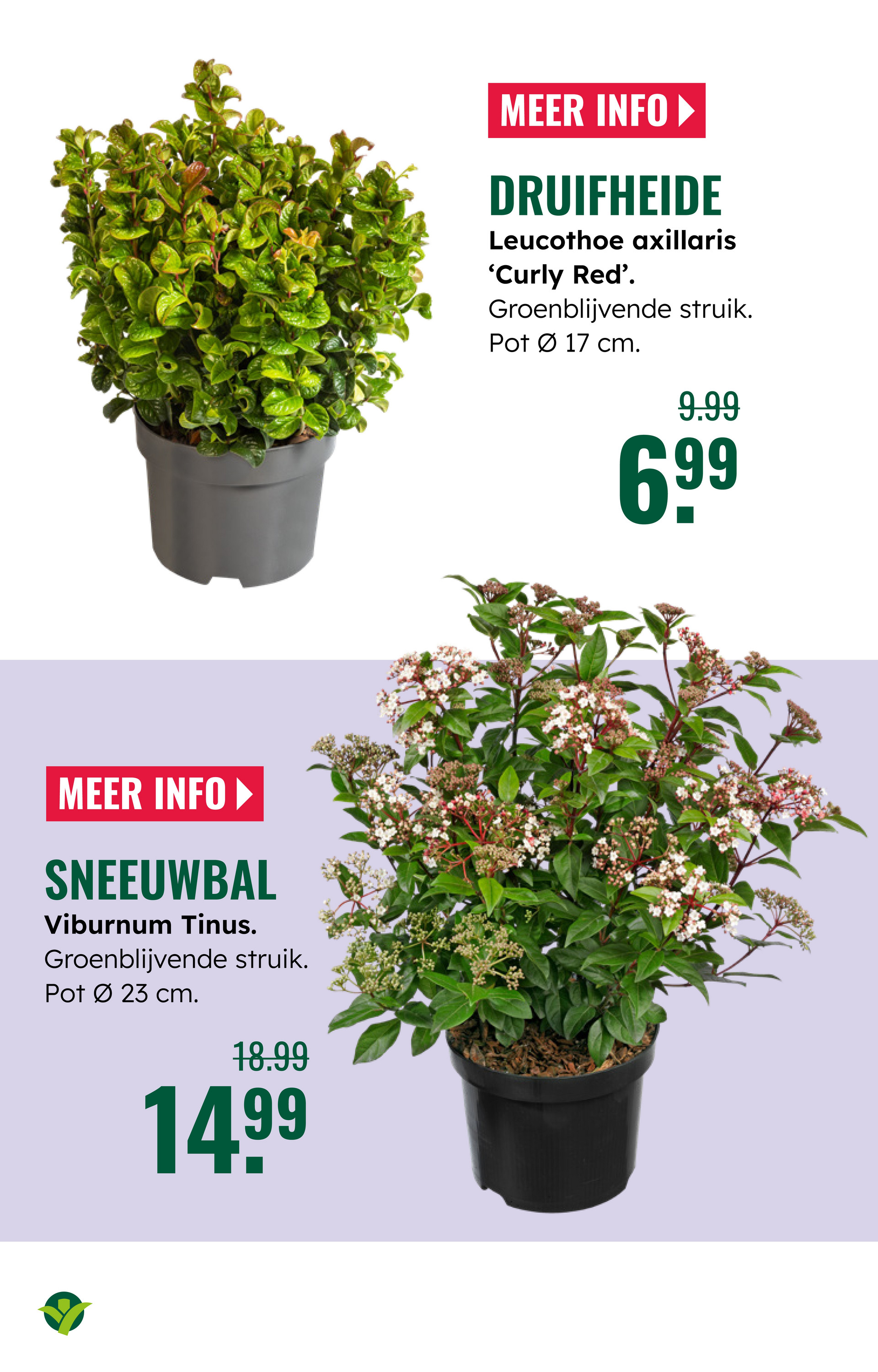 groenrijk - De GroenRijk folder geldig vanaf 22-10 t/m 28-10 - page: 11