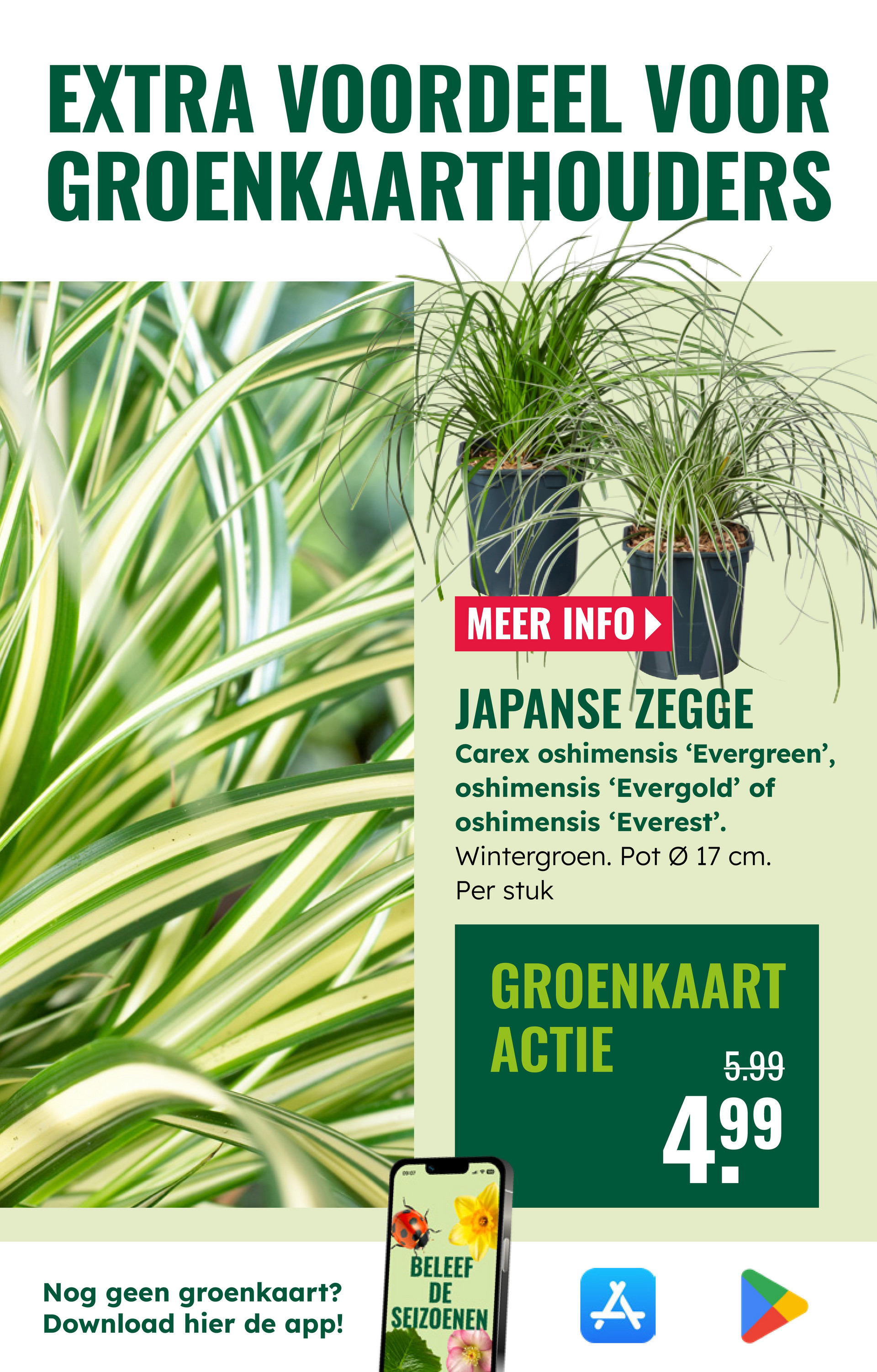 groenrijk - De GroenRijk folder geldig vanaf 22-10 t/m 28-10 - page: 15