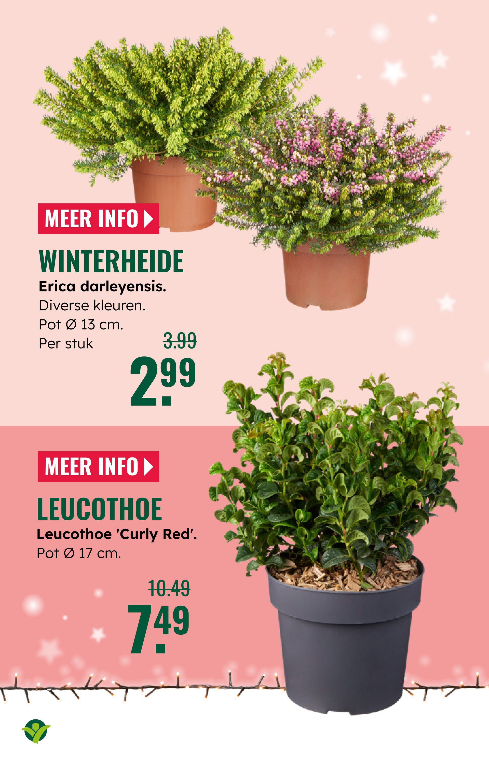 groenrijk - De GroenRijk folder geldig vanaf 19-11 t/m 25-11 - page: 16