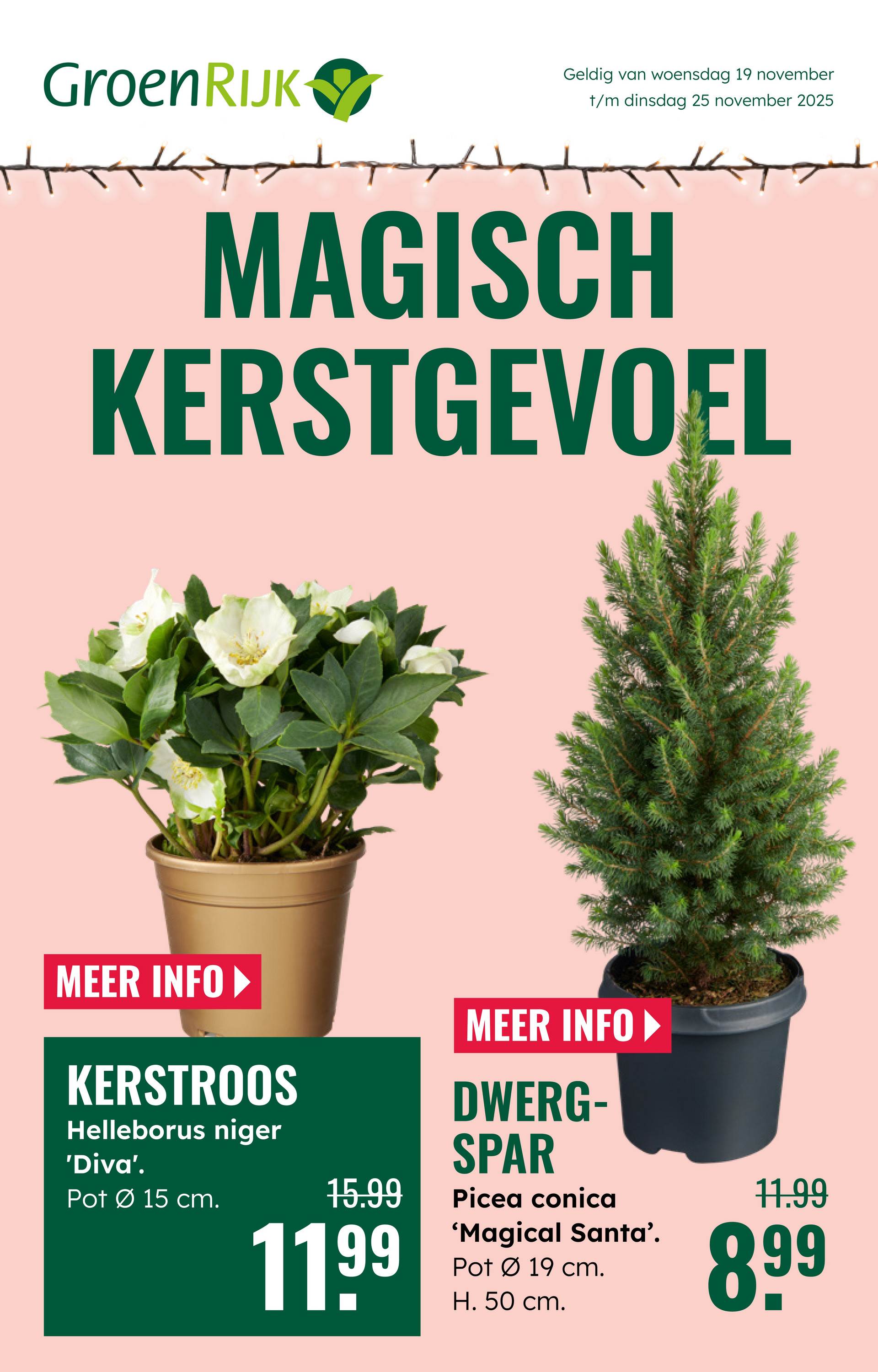 groenrijk - De GroenRijk folder geldig vanaf 19-11 t/m 25-11 - page: 1
