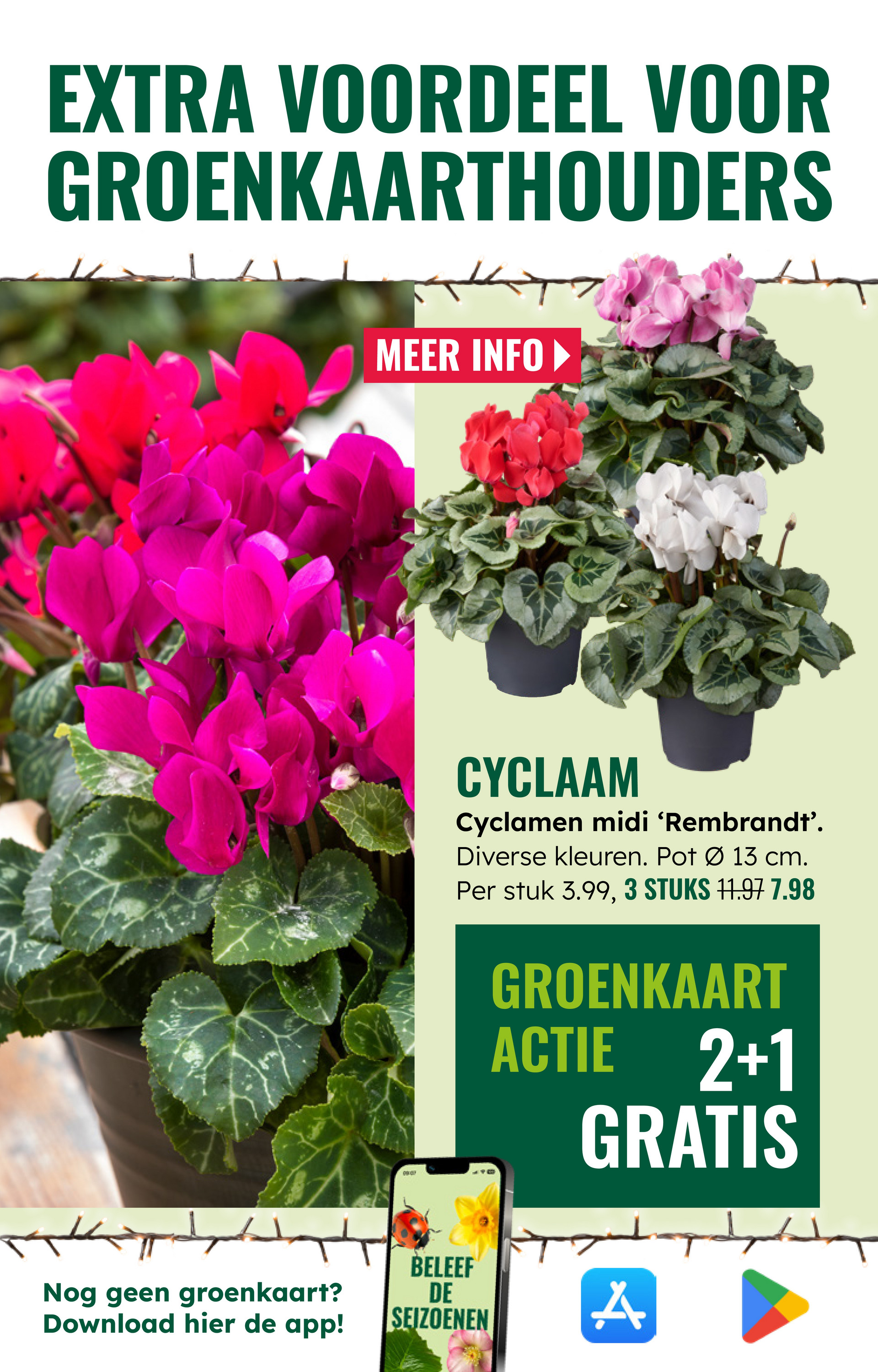 groenrijk - De GroenRijk folder geldig vanaf 19-11 t/m 25-11 - page: 5