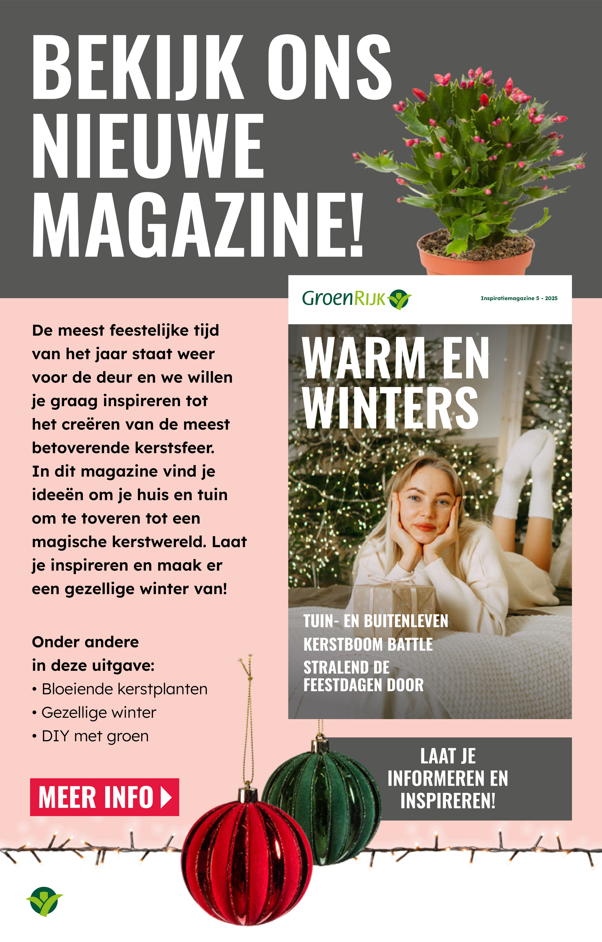 groenrijk - De GroenRijk folder geldig vanaf 19-11 t/m 25-11 - page: 11