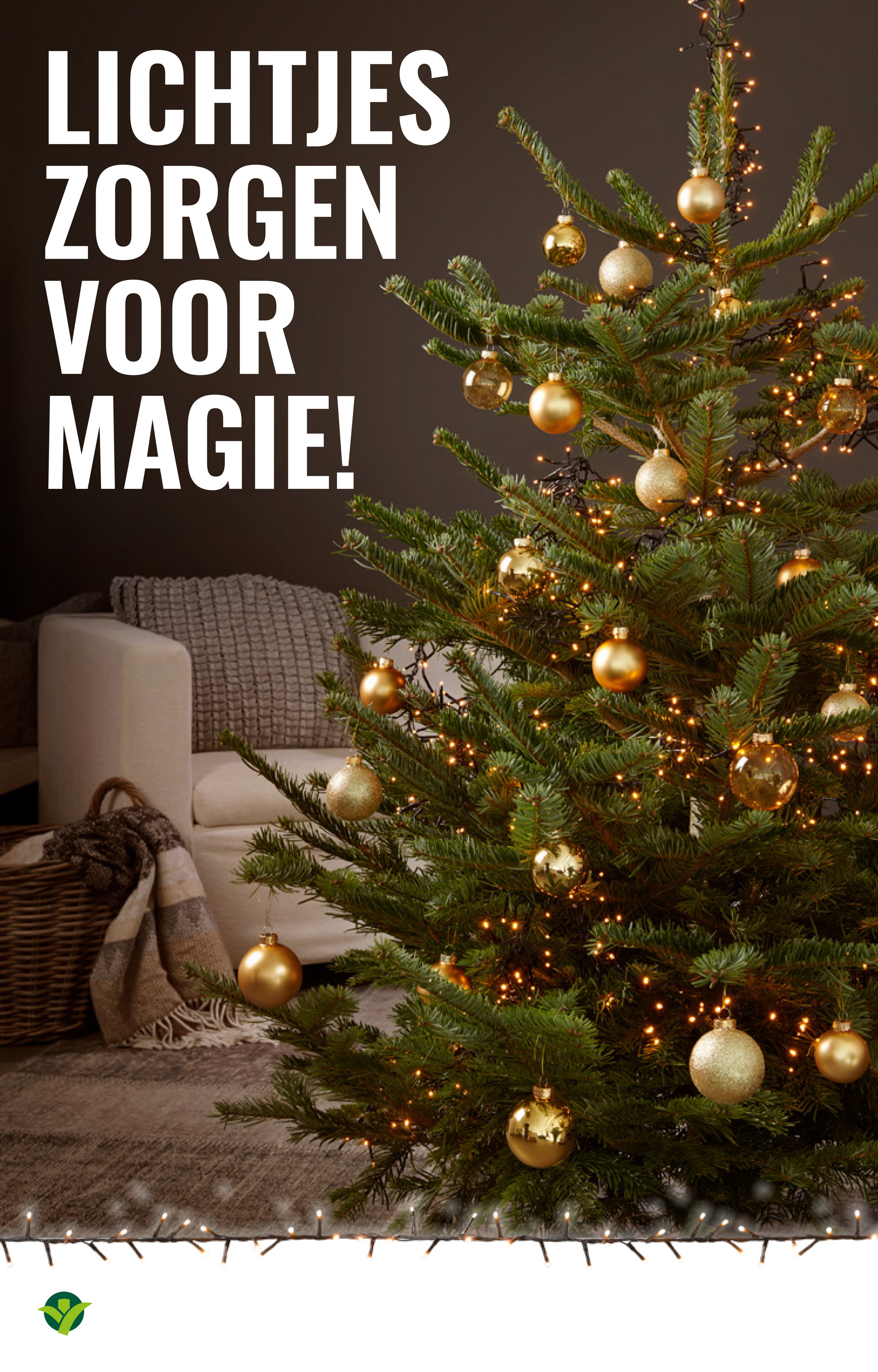 groenrijk - De GroenRijk folder geldig vanaf 19-11 t/m 25-11 - page: 8