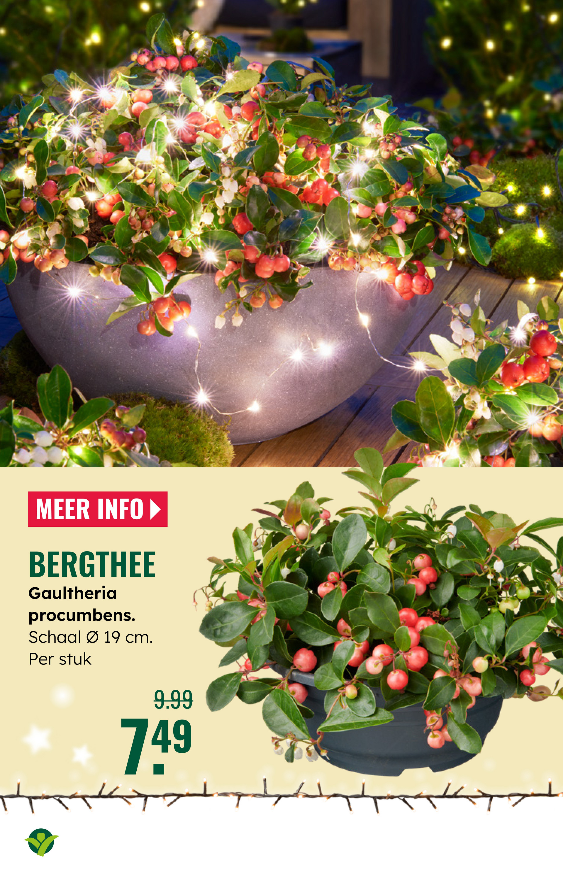 groenrijk - De GroenRijk folder geldig vanaf 03-12 t/m 09-12 - page: 3