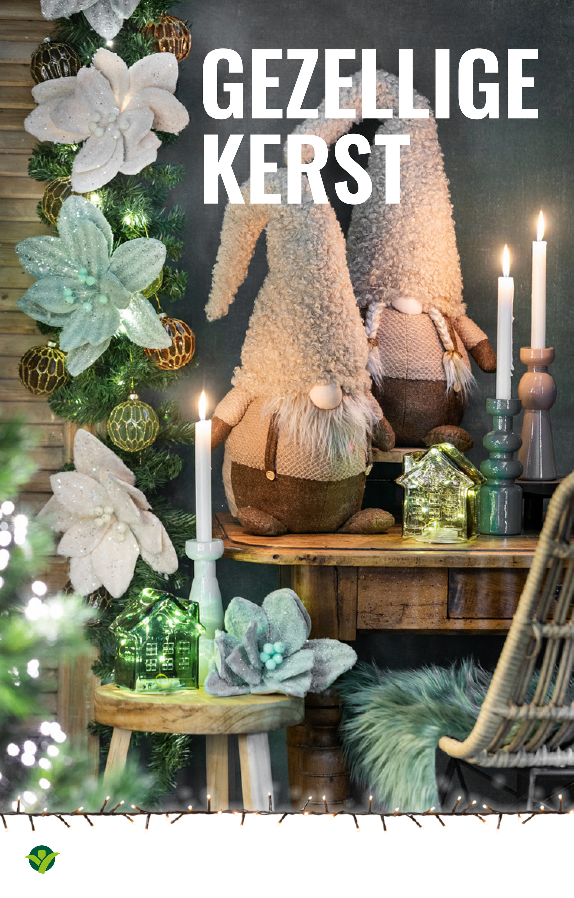 groenrijk - De GroenRijk folder geldig vanaf 03-12 t/m 09-12 - page: 6