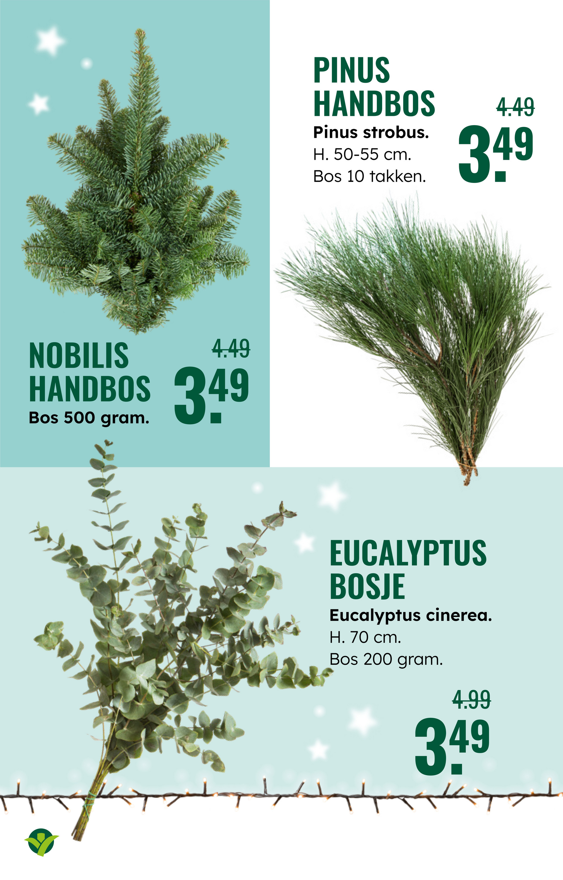 groenrijk - De GroenRijk folder geldig vanaf 03-12 t/m 09-12 - page: 21