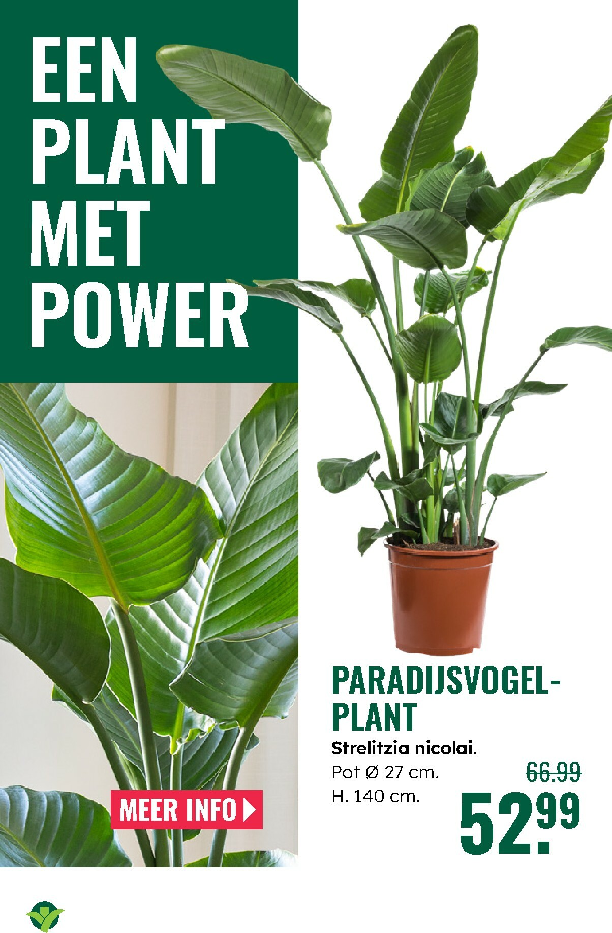 groenrijk - De GroenRijk folder geldig vanaf 27-12 t/m 07-01 - page: 8