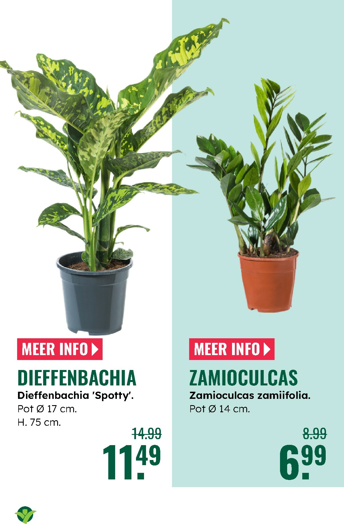 groenrijk - De GroenRijk folder geldig vanaf 27-12 t/m 07-01 - page: 10