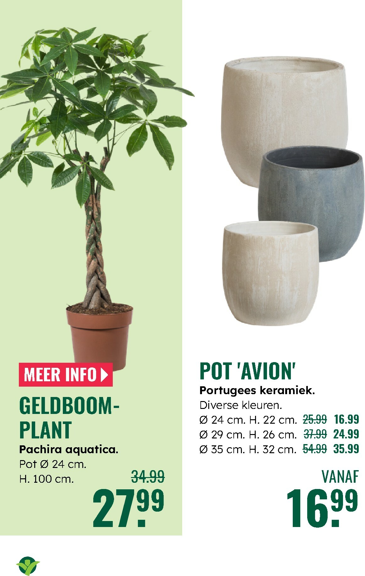 groenrijk - De GroenRijk folder geldig vanaf 27-12 t/m 07-01 - page: 5