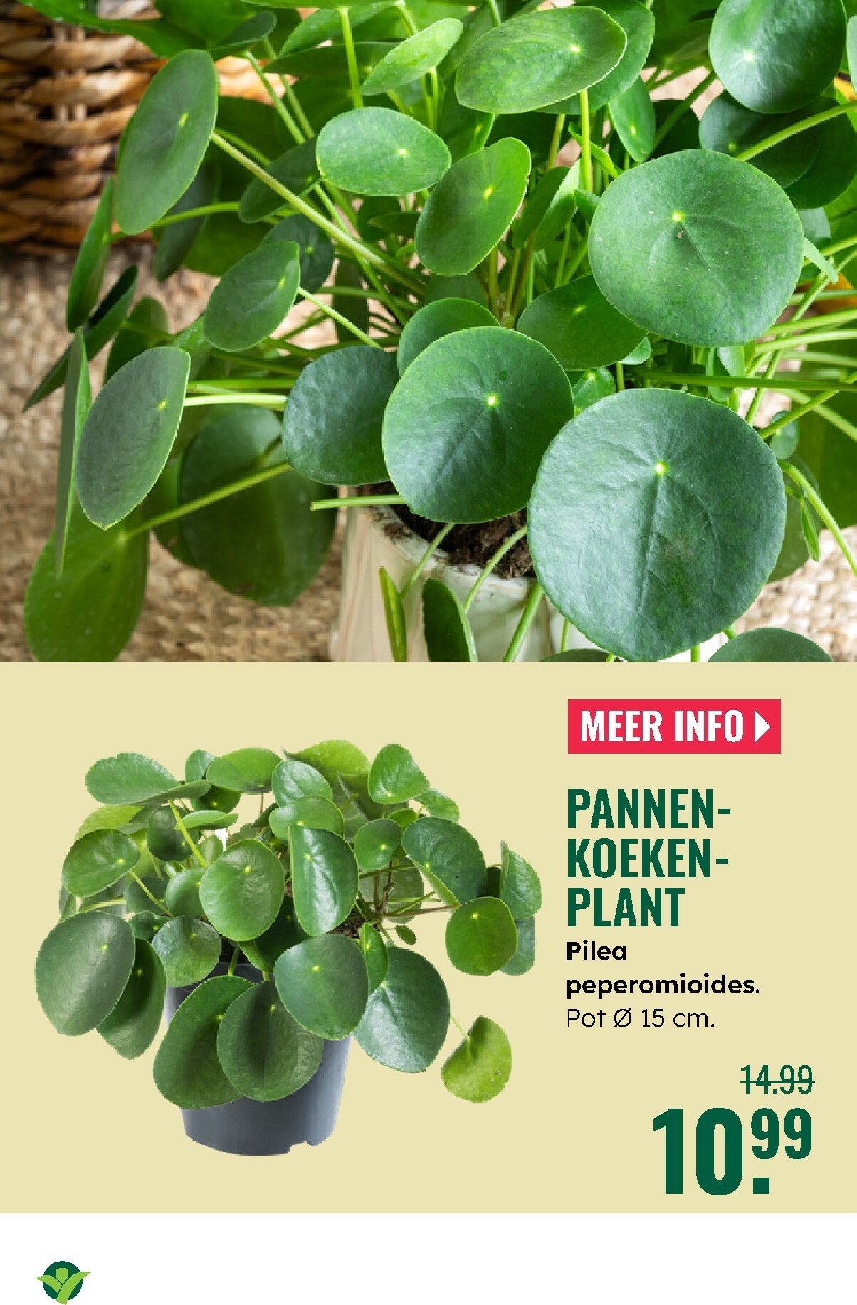 groenrijk - De GroenRijk folder geldig vanaf 27-12 t/m 07-01 - page: 3