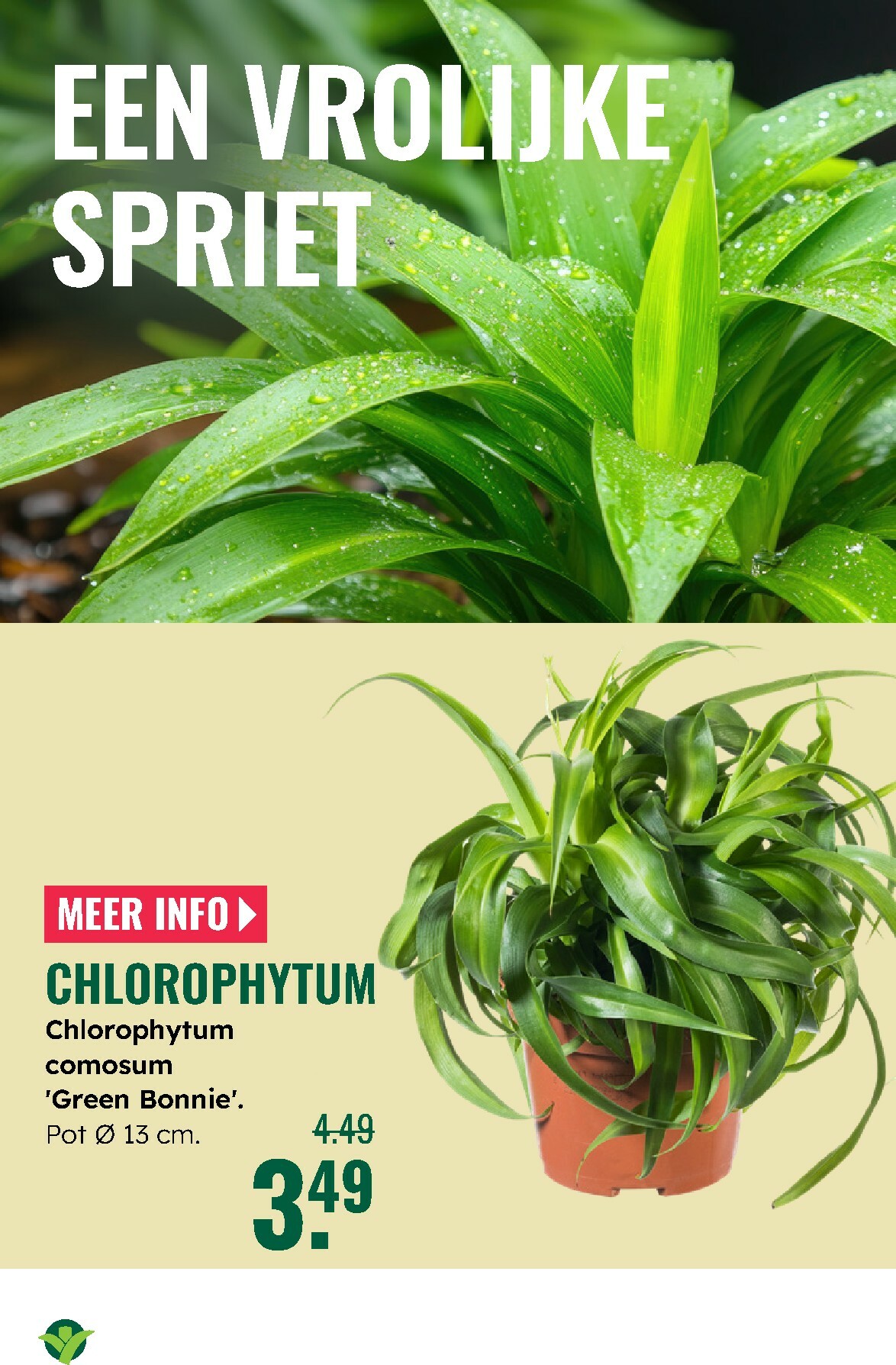 groenrijk - De GroenRijk folder geldig vanaf 27-12 t/m 07-01 - page: 13